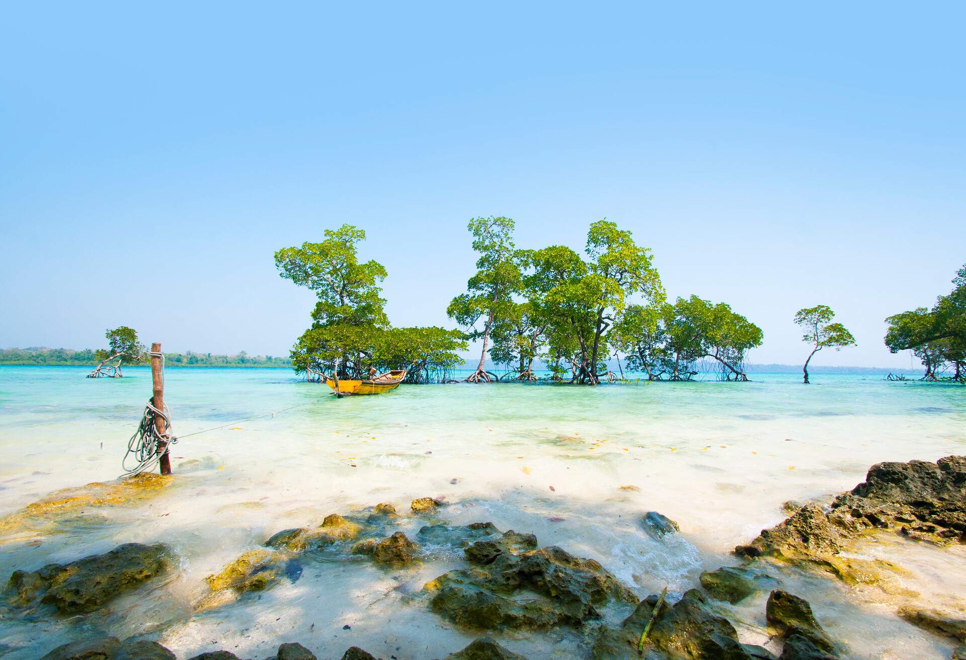 View of Havelock Island Beach, tree in the sea water, Andaman & Nicobar Islands