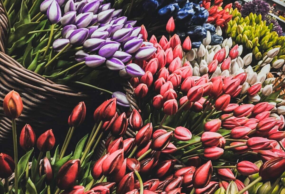 DEST_NETHERLANDS_AMSTERDAM_FLOWER_MARKET_domenico_bonito