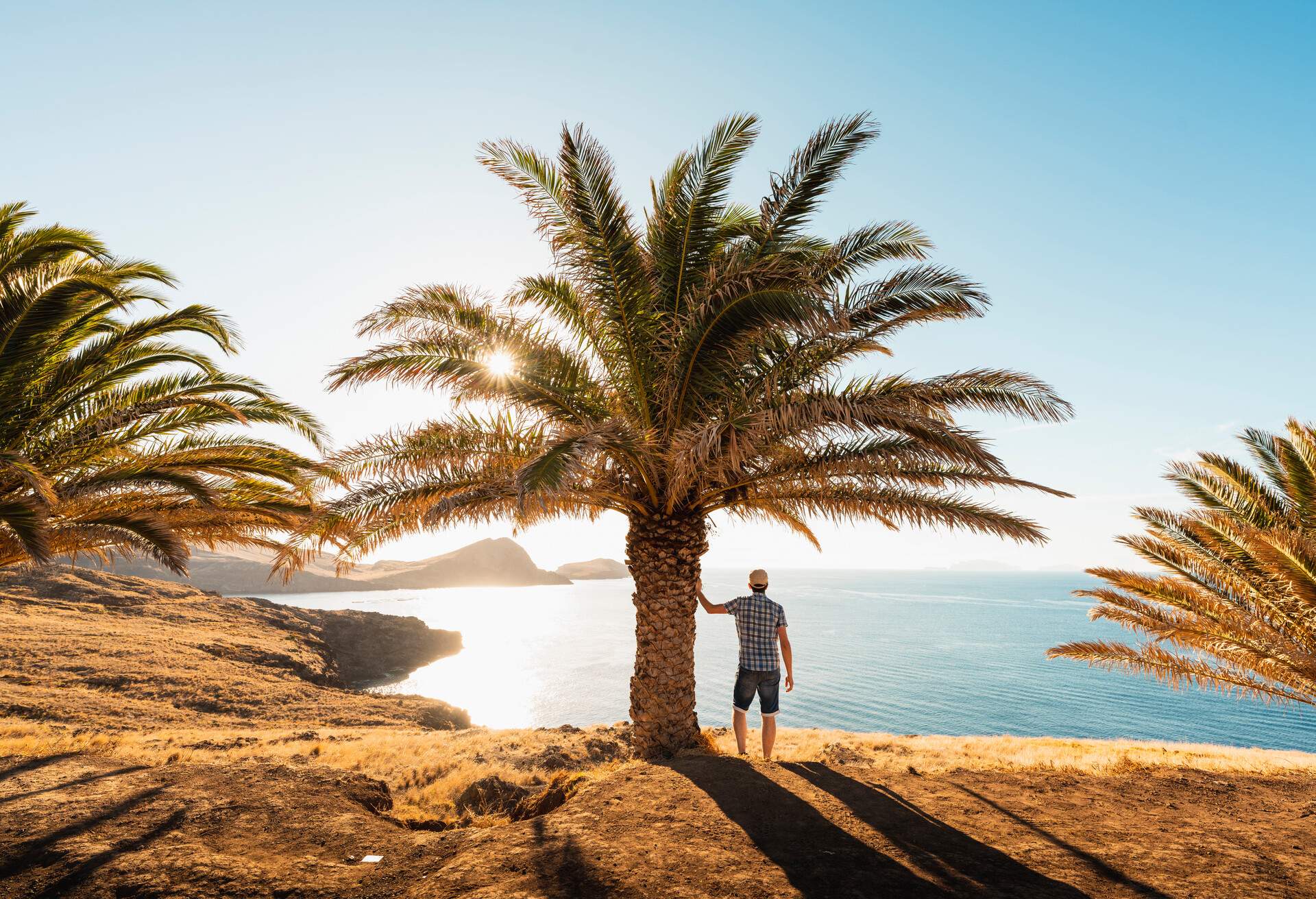 A man standing on the beach with a hand against a palm tree, looking across the ocean.