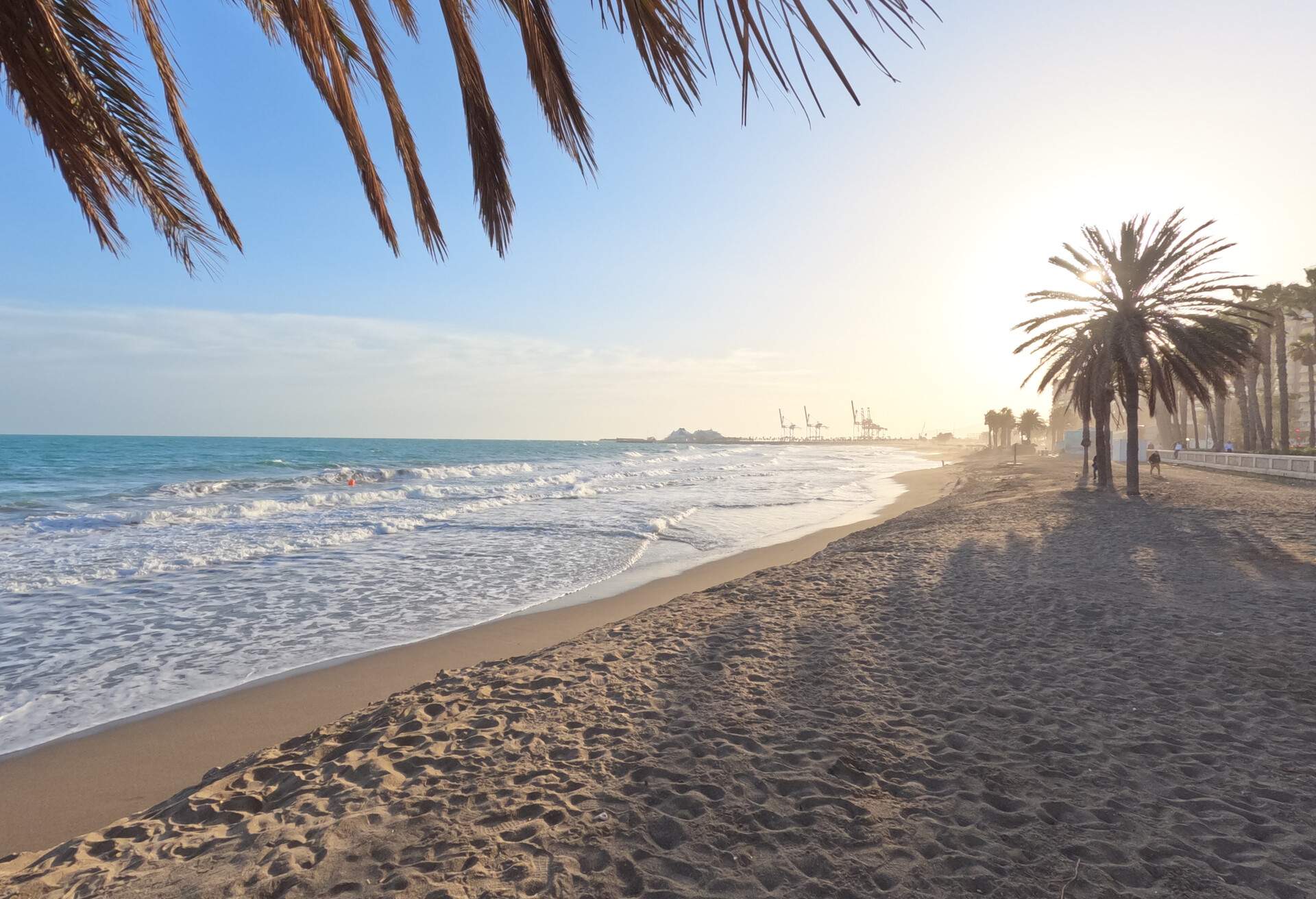 La Malagueta urban sand beach with palm trees promenade at sunriset golden light on the Costa del Sol, one of the most famous beaches for both tourists and locals in Malaga city center, Spain, Europe