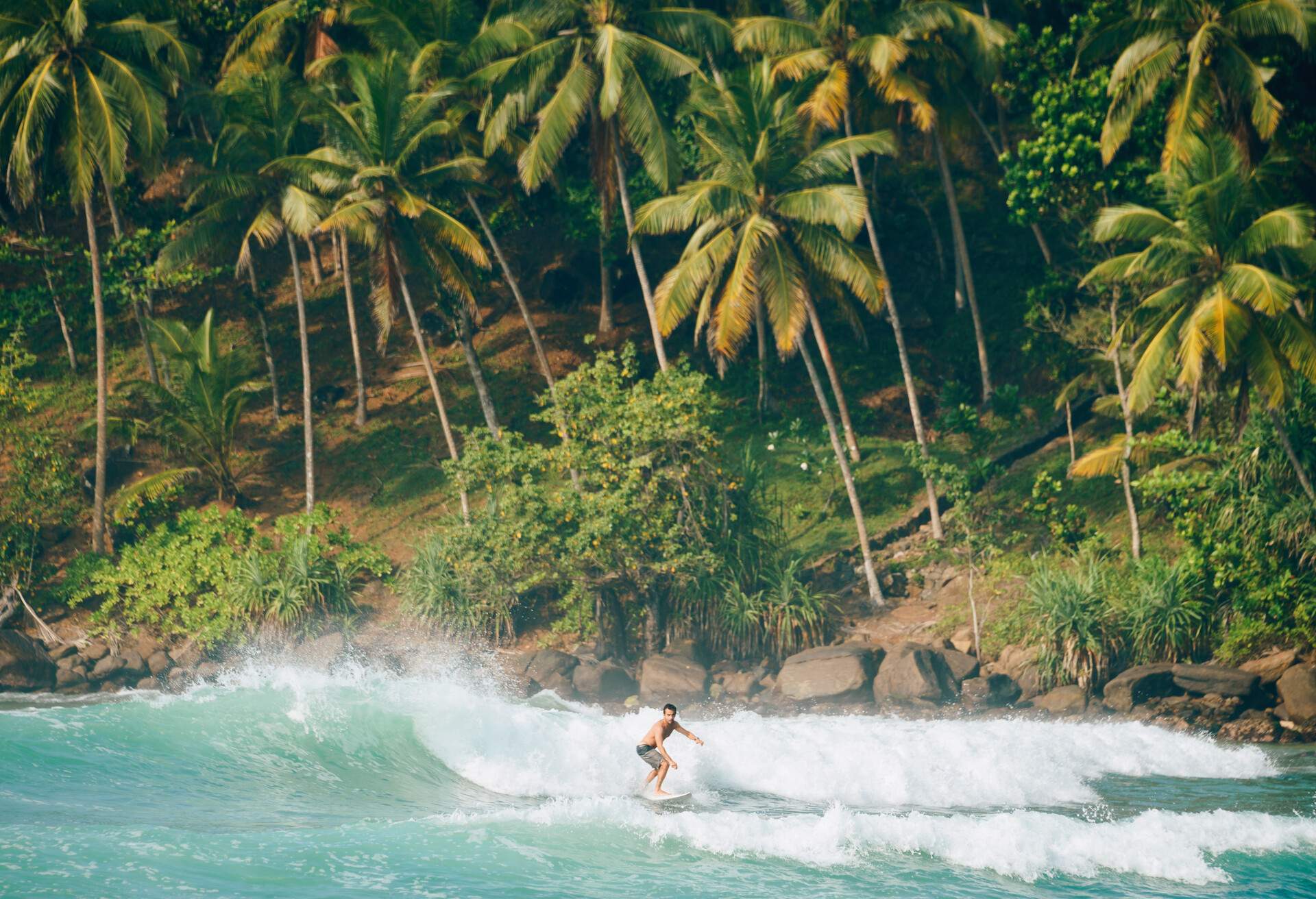 A man surfs with the sea's big white waves, bounded by a rocky hill packed with lush palm trees.