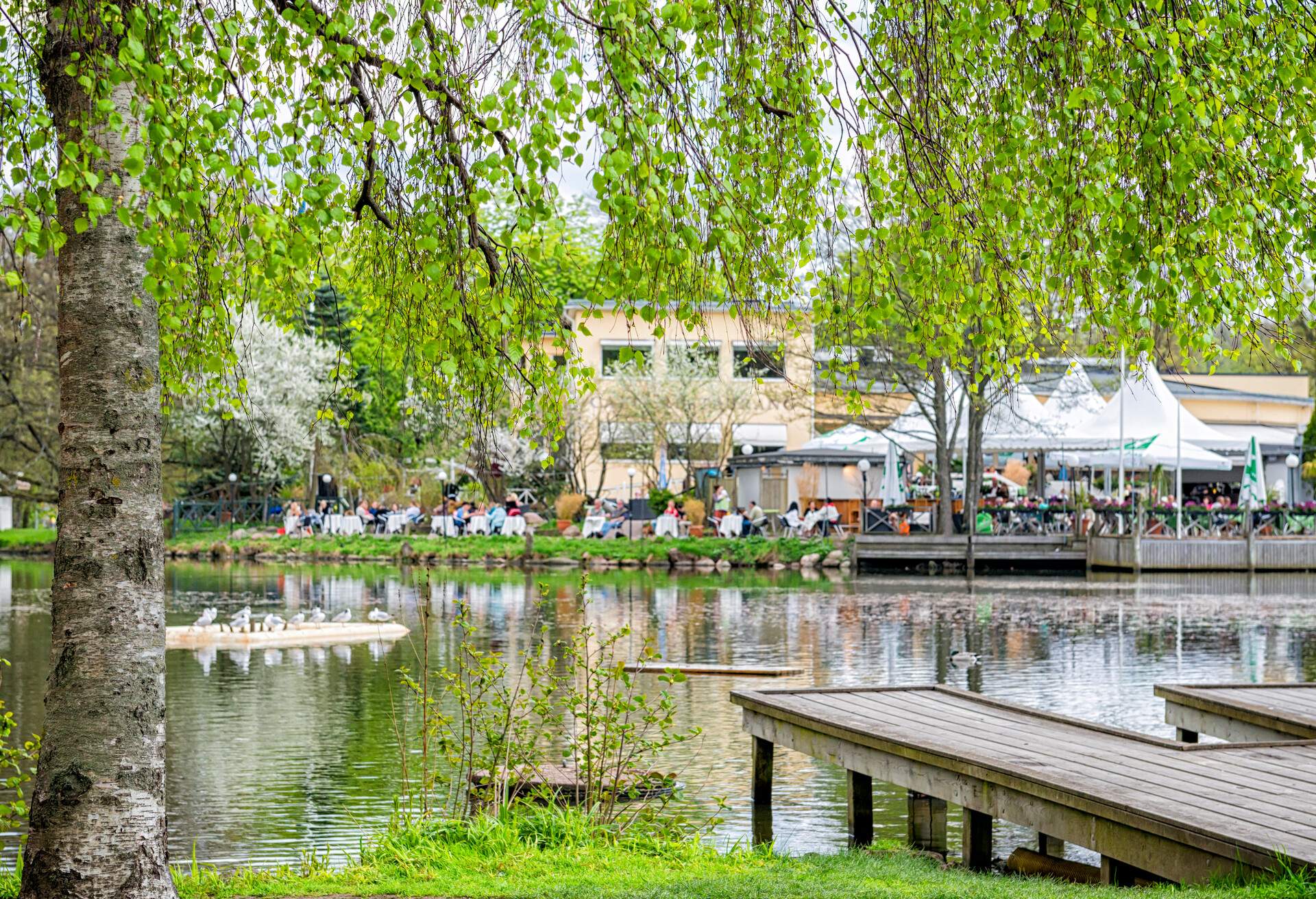 DEST_SWEDEN_GOTHENBURG_Slottskogen_GettyImages-180810514