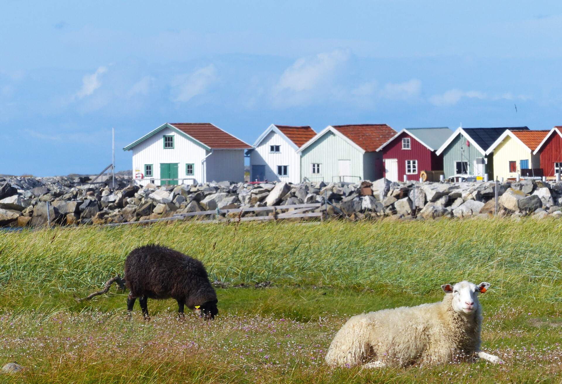 DEST_SWEDEN_KOSTER_ISLAND_Sydkoster_GettyImages-1211130032