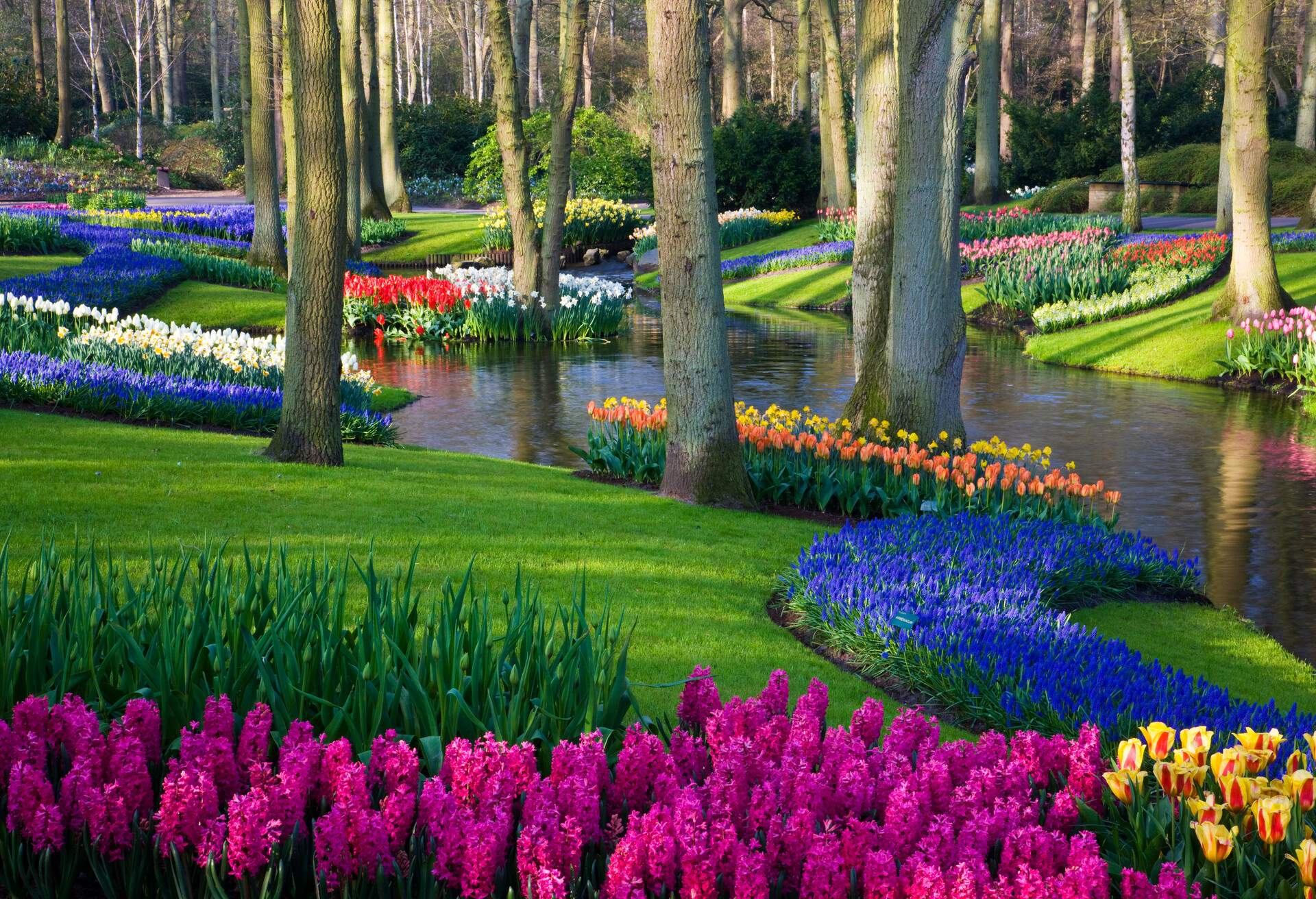 DEST_THE-NETHERLANDS_LISSE_KEUKENHOF_GettyImages-91271789