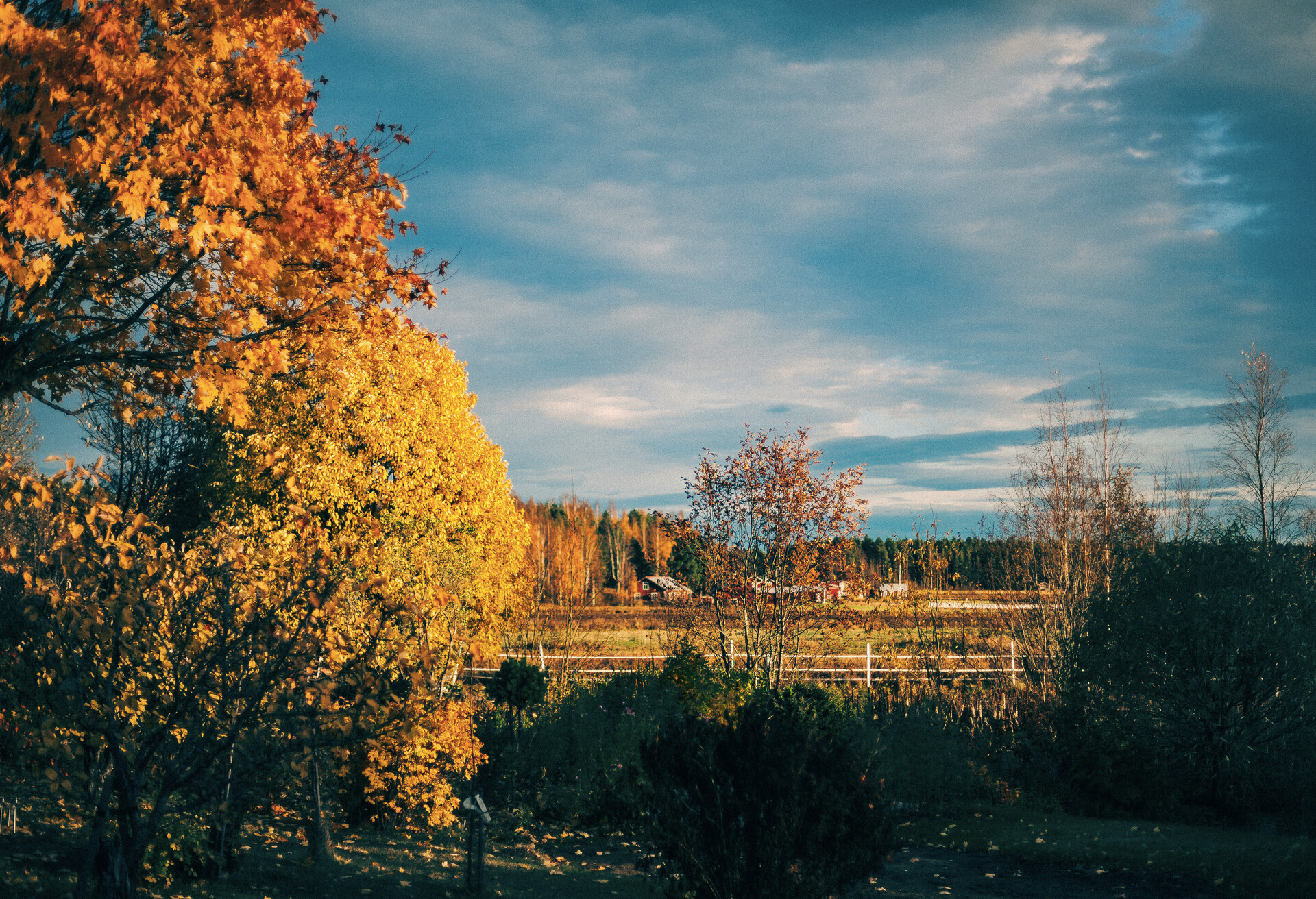 dest_sweden_Piteå_GettyImages-1155608666