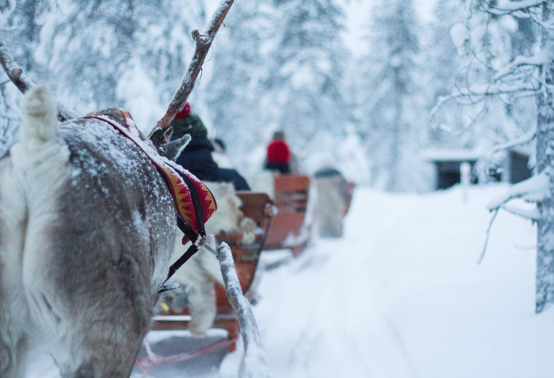 DEST_FINLAND_LAPLAND_GettyImages-875646894