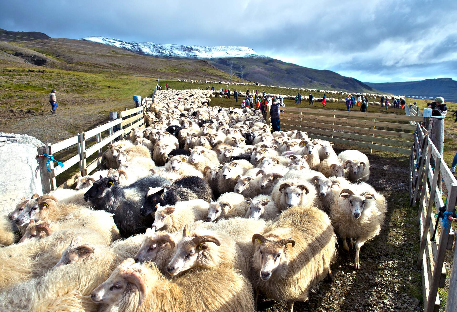 DEST_ICELAND_Hvalfjordur_GettyImages-577577993