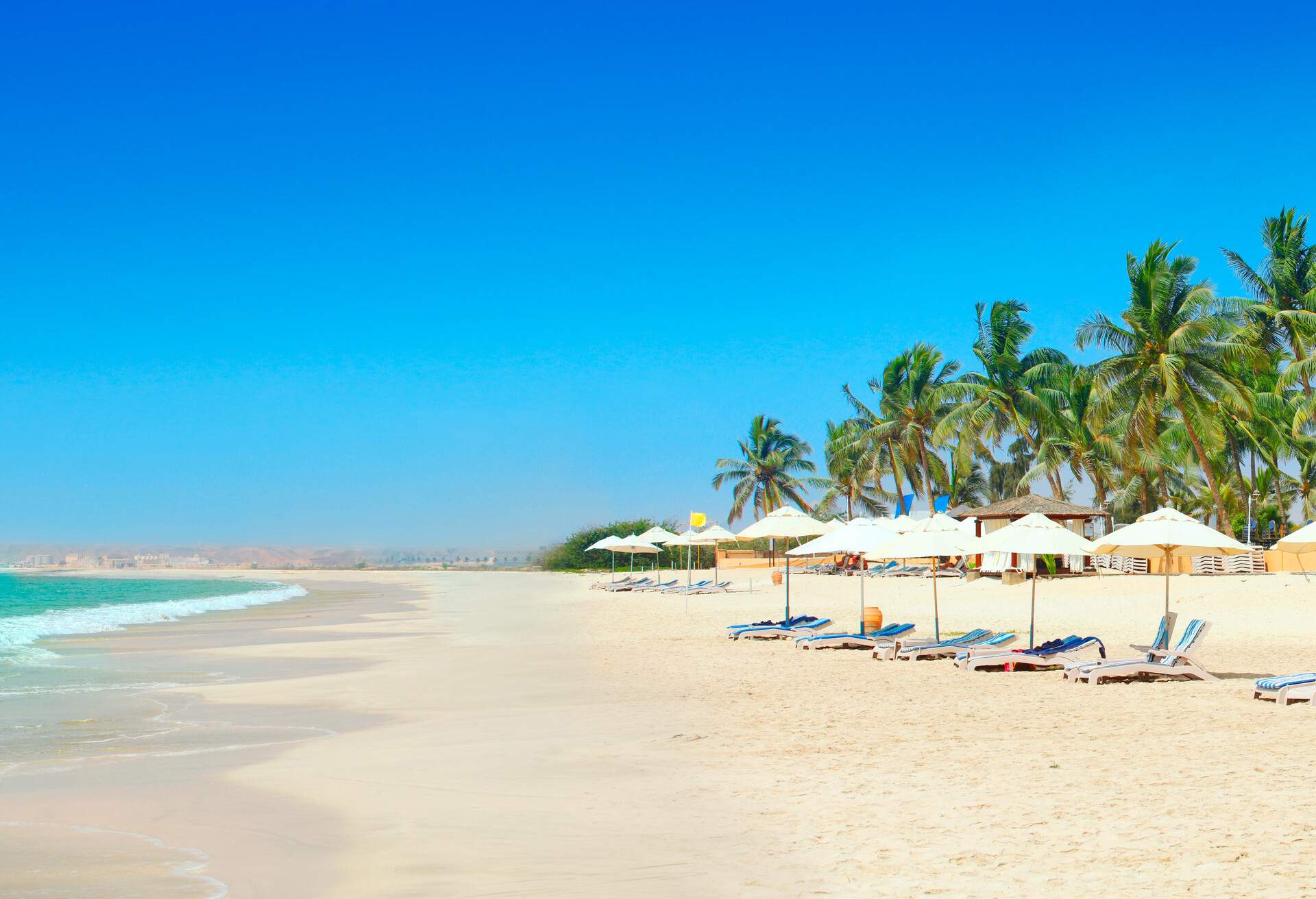 Sunny beach with palm trees and sunbeds in Salalah Oman
