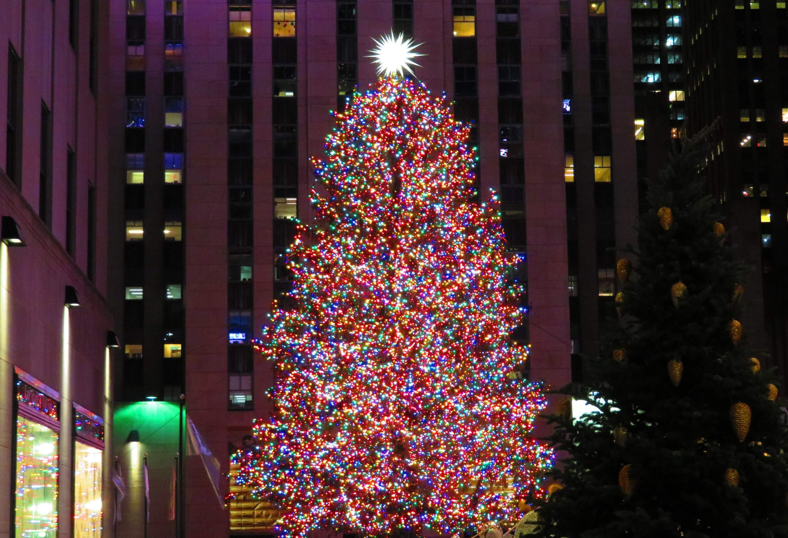 A tall Christmas tree surrounded by tall buildings is brightly lit with colourful LED lights.