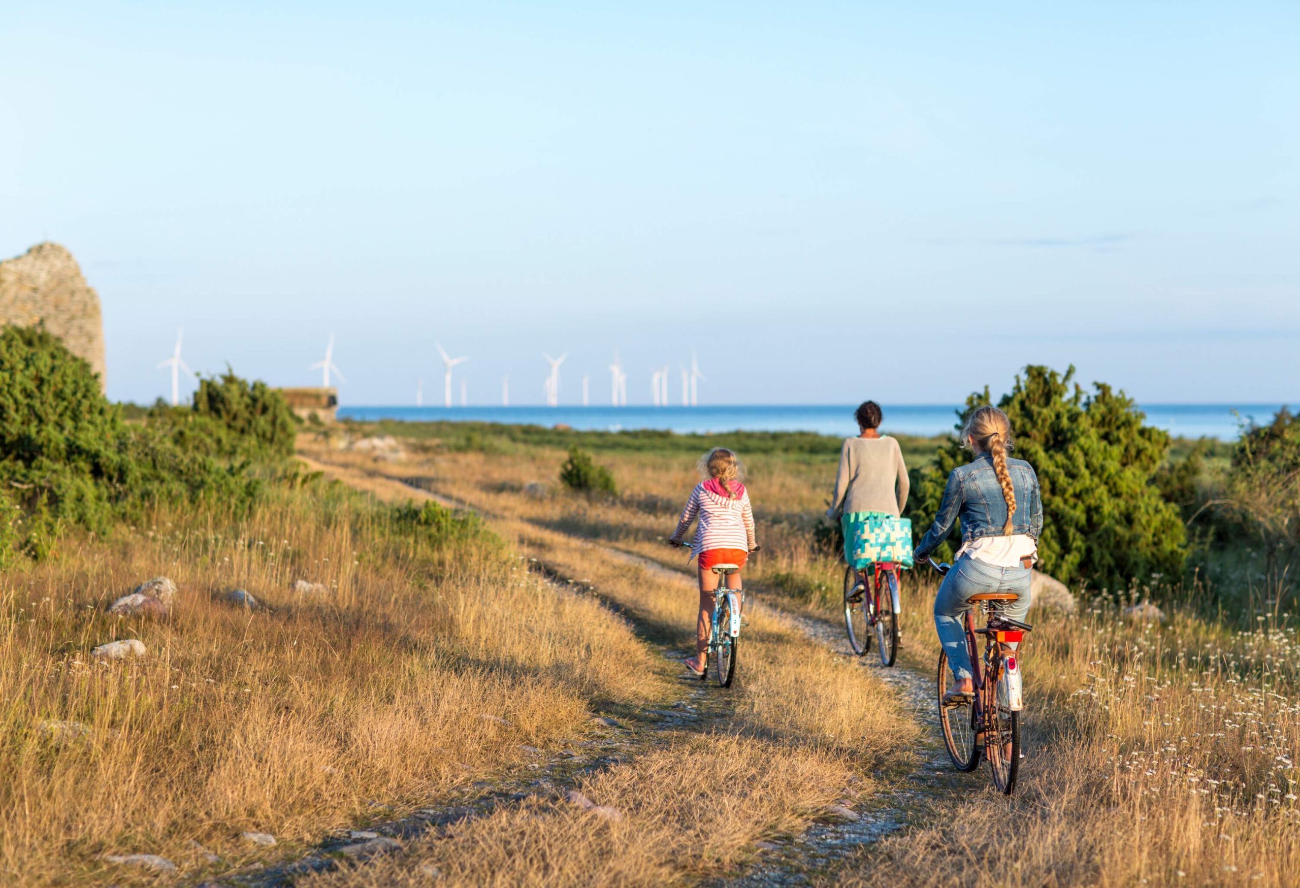 Three individuals are on their bicycles while cycling on the grassy terrain.