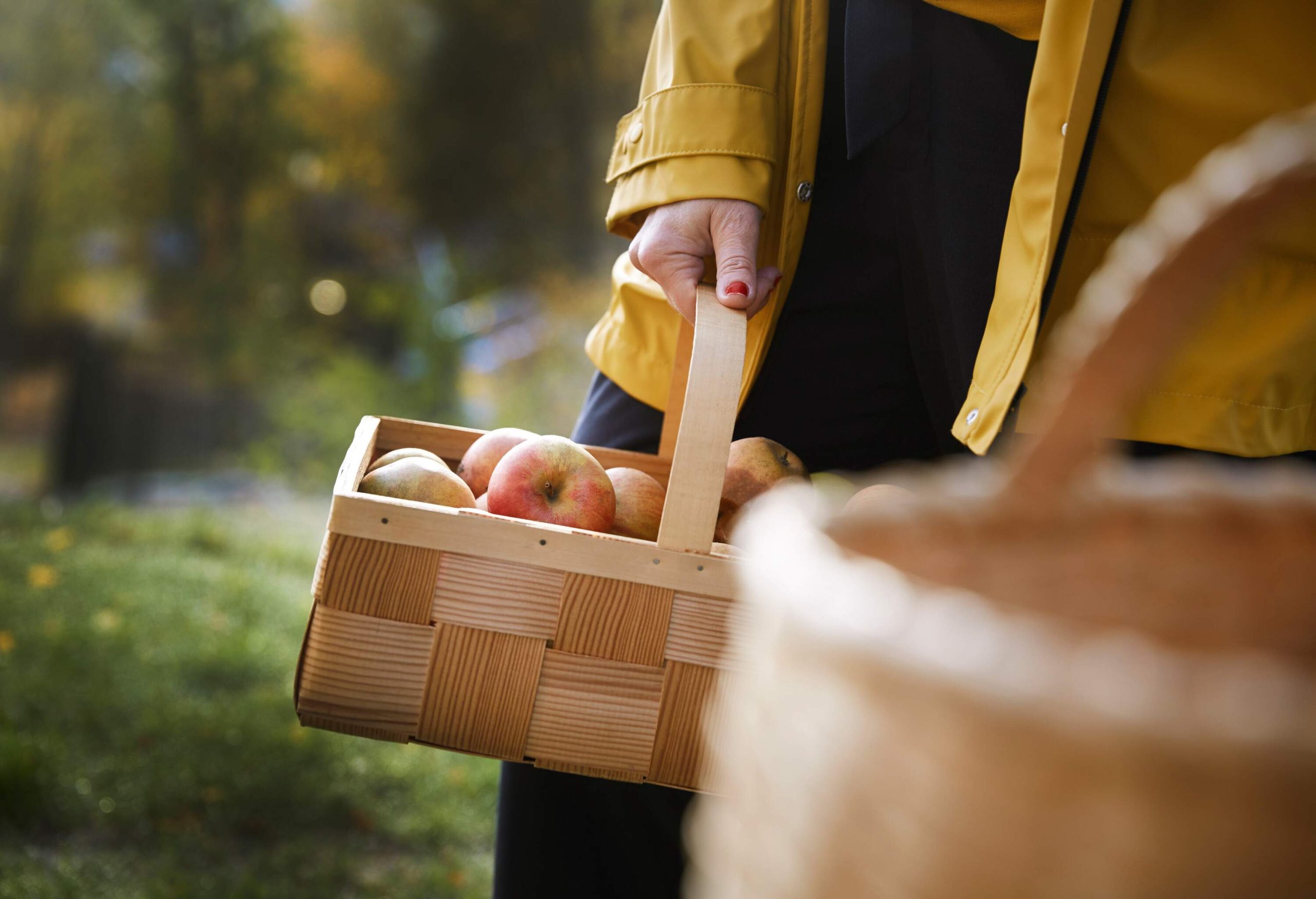 A person in a yellow jacket holding a basketful of apples.