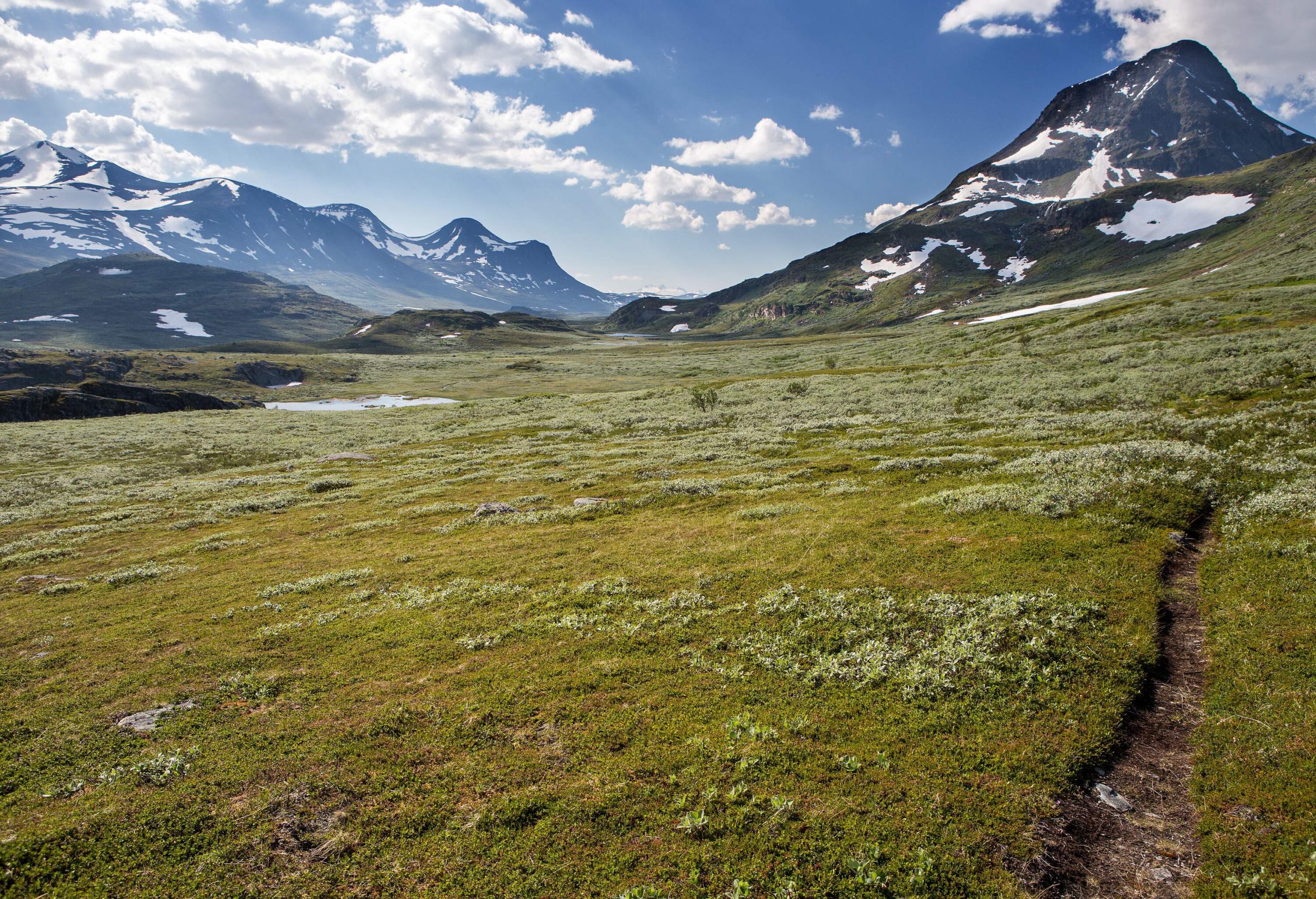 A narrow trail through a grass field with snow-covered mountains in the background.