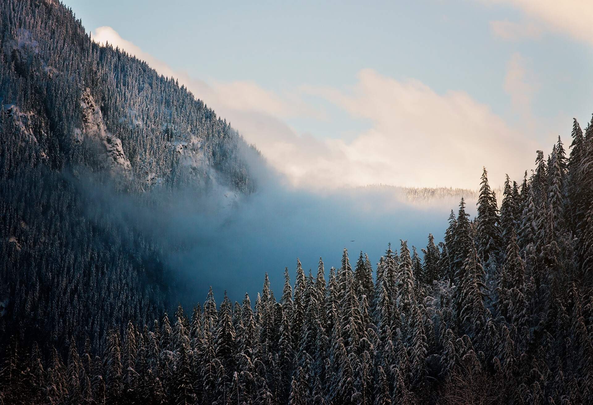 Low clouds at dusk in between two mountains, eagle silhouette in the distance