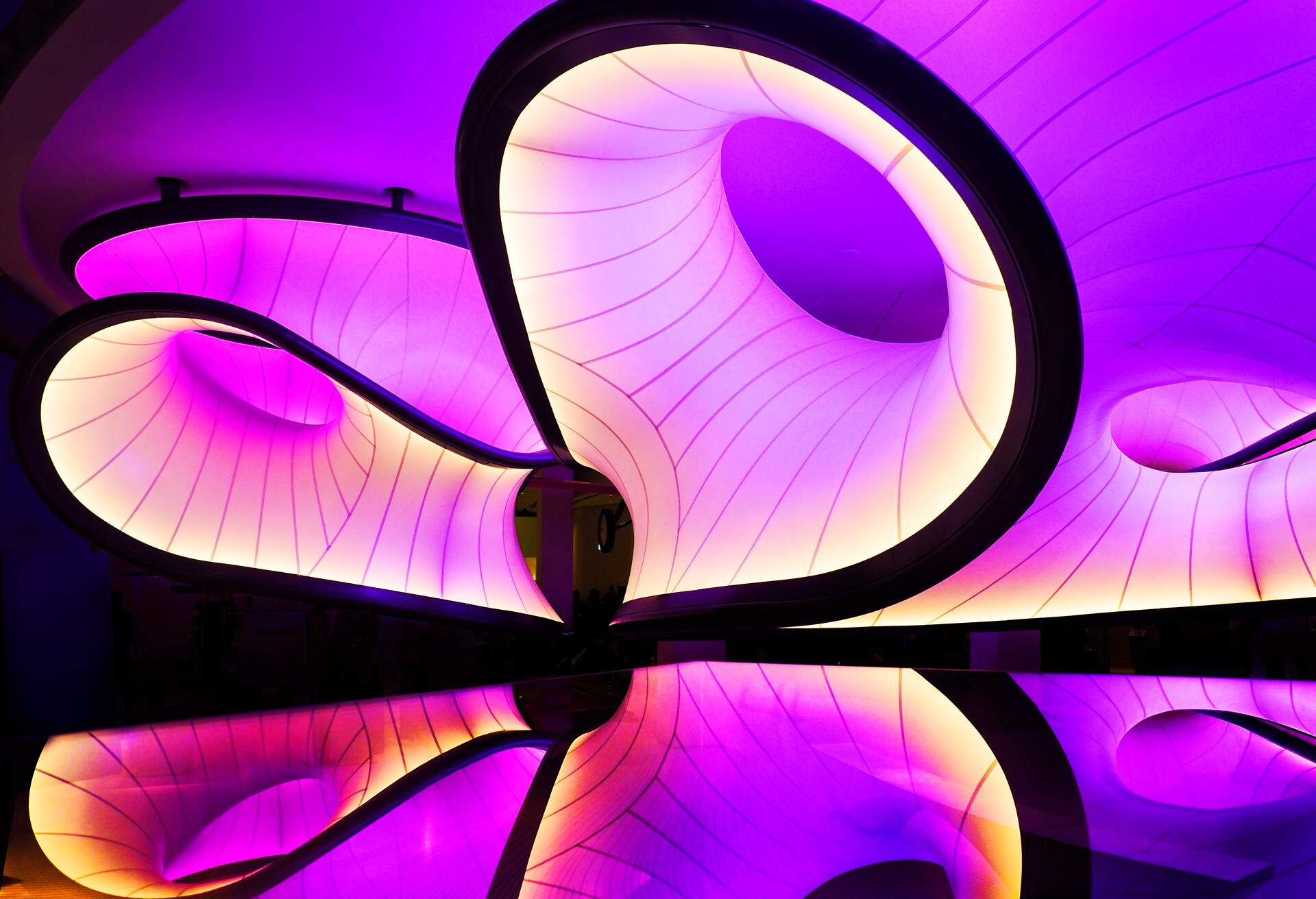 Smooth, curvy, lined layouts with vibrant shades of purple light on display in a science museum.