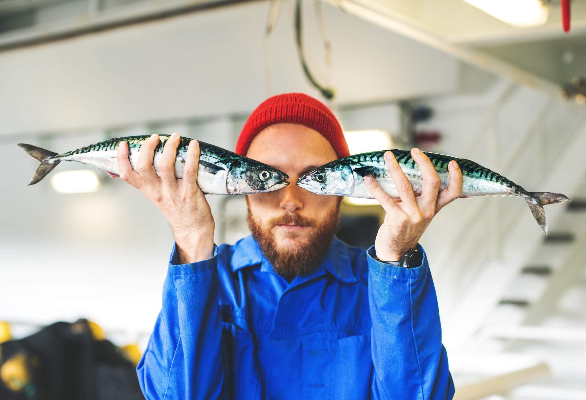 NORWAY_FISHING_BOAT_DECK_FISHERMAN_FRESH_FISH