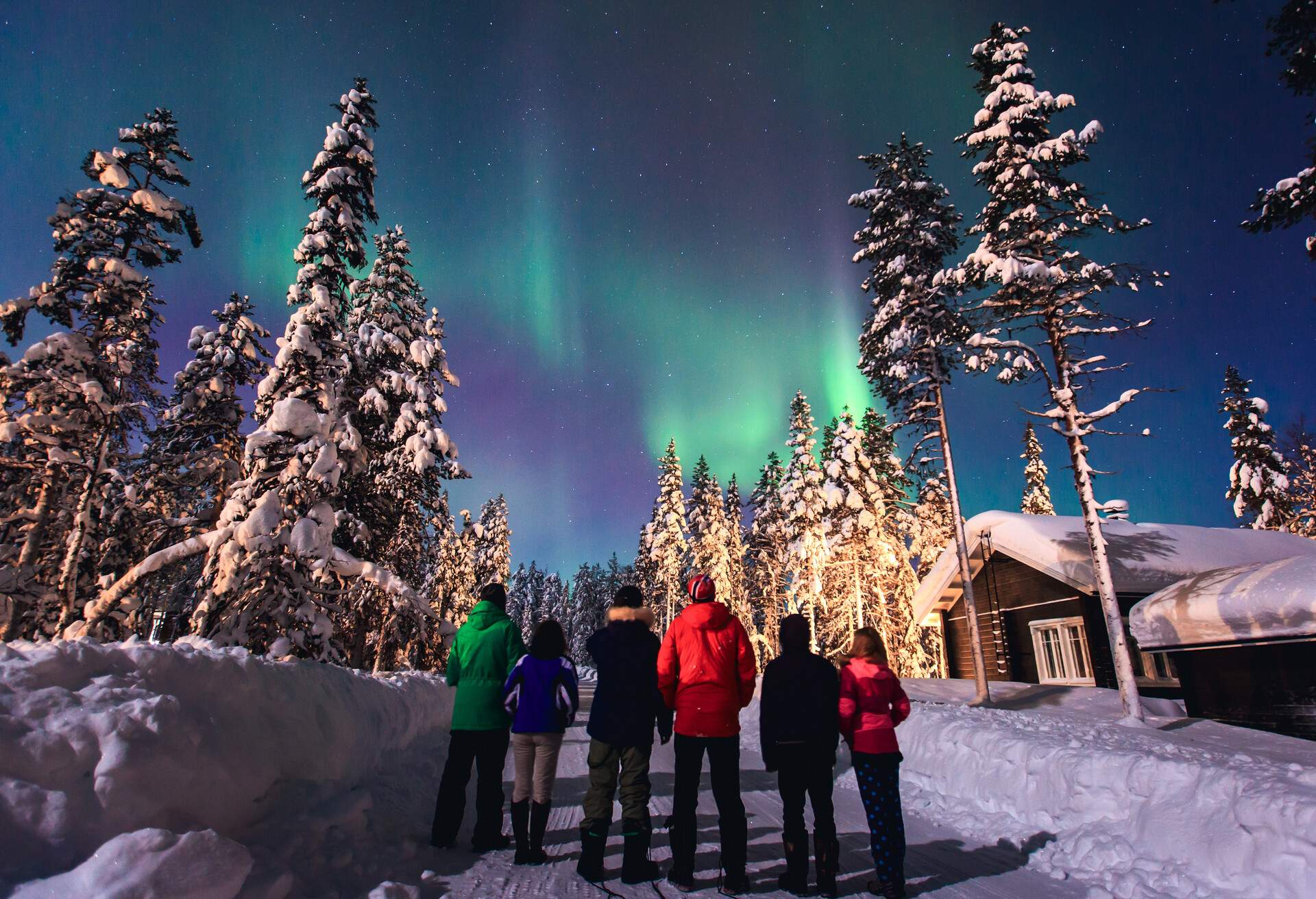 A group of people standing on a snowy path with tall trees and looking up to the sky to admire the northern lights.