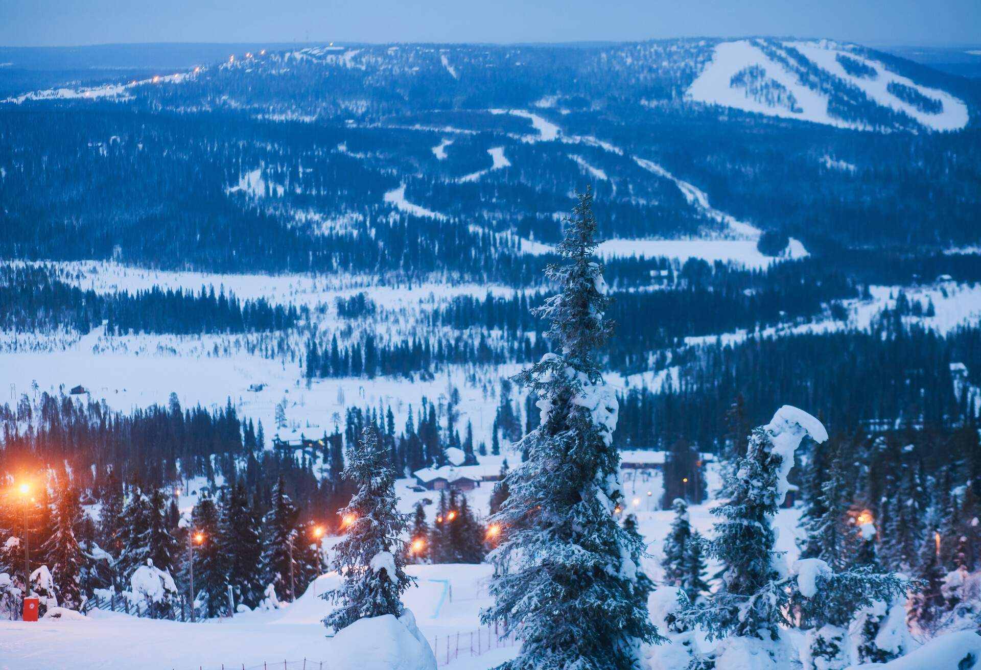 Street lamps with bright lights on a ski resort surrounded by a frozen forest.