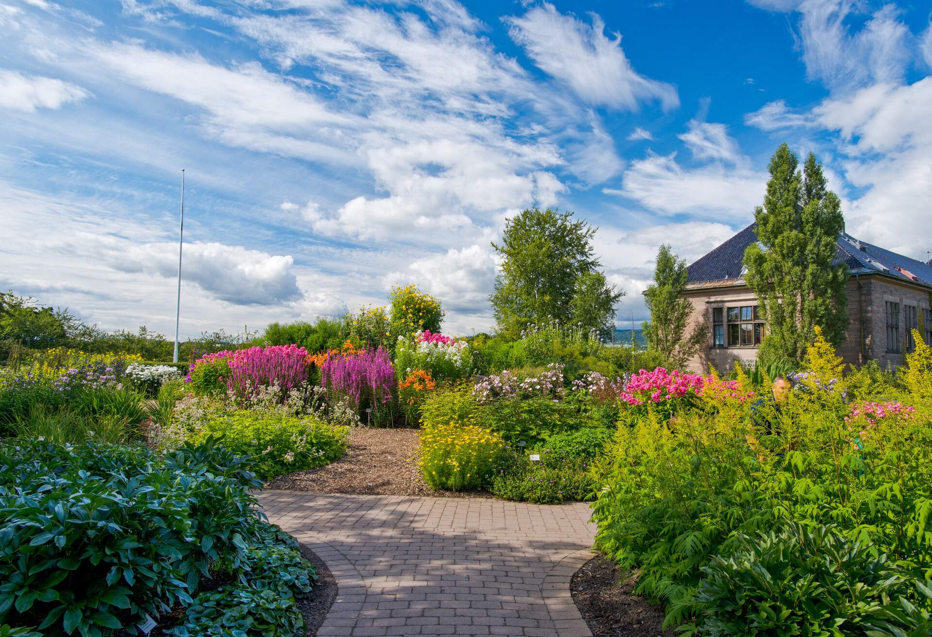 DEST_NORWAY_OSLO_BOTANICAL_GARDEN_SHUTTERSTOCK_114488404.jpg