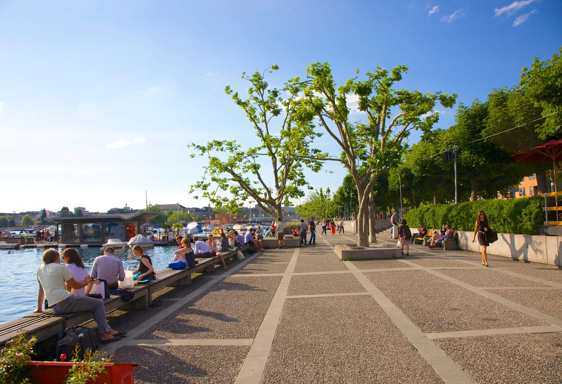 People sitting on benches in late afternoon at Utoquai Promenade, a beautiful pedestrian walk along eastern side of Lake Zurich, Switzerland.  Promenade was built in 1887 and planted with Chestnut trees.