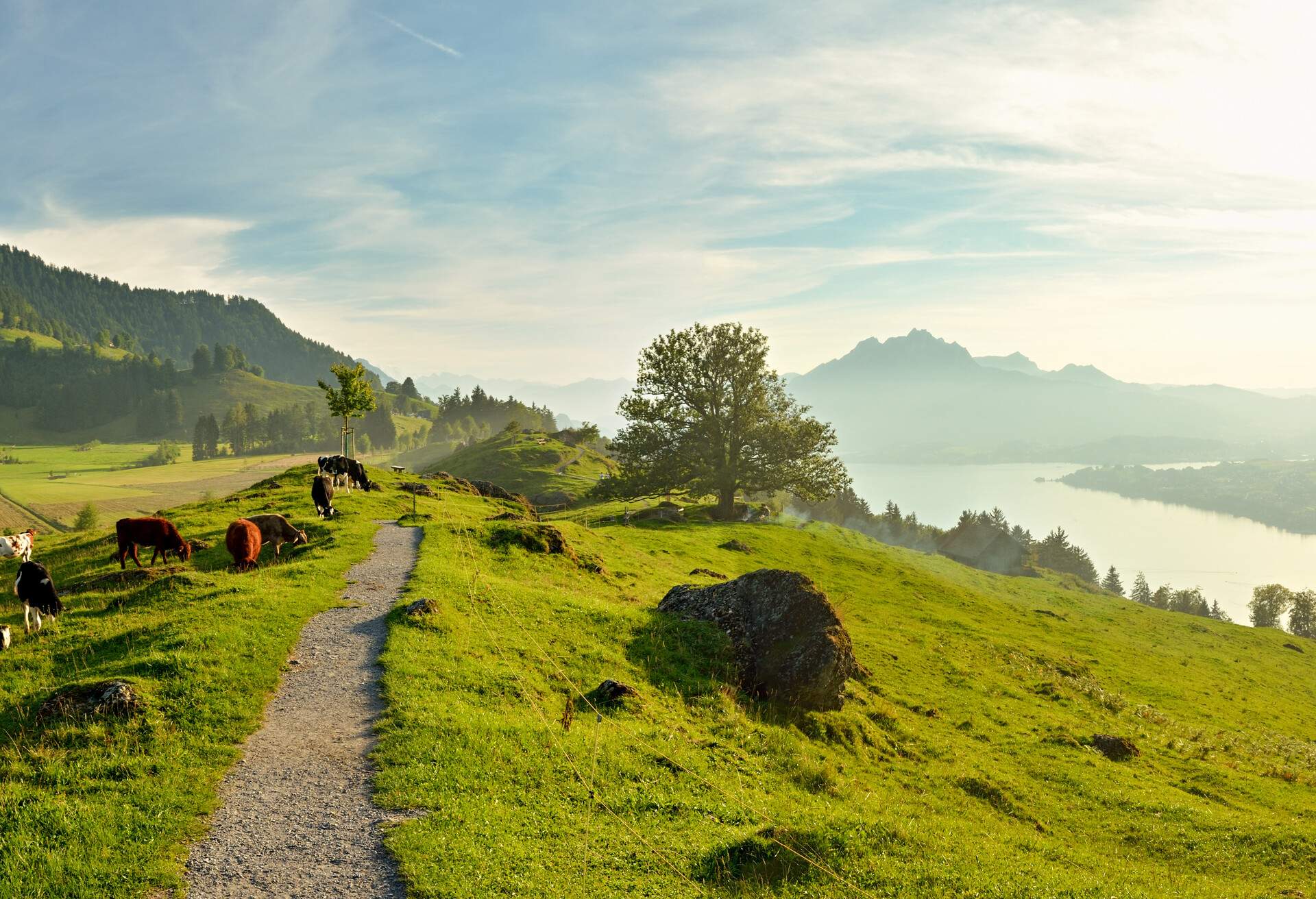 Panoramic view on beautiful Lake Lucerne with mount Pilatus in background as seen from Seebodenalp, Switzerland