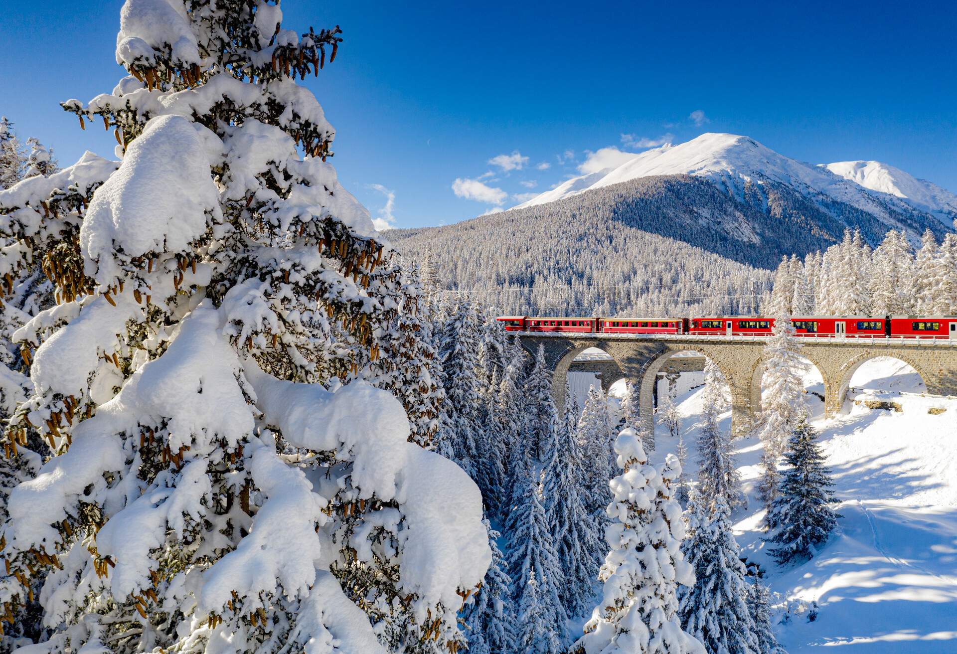 Clear sky on Bernina Express train crossing the forest covered with snow, Chapella, Graubunden canton, Engadine, Switzerland