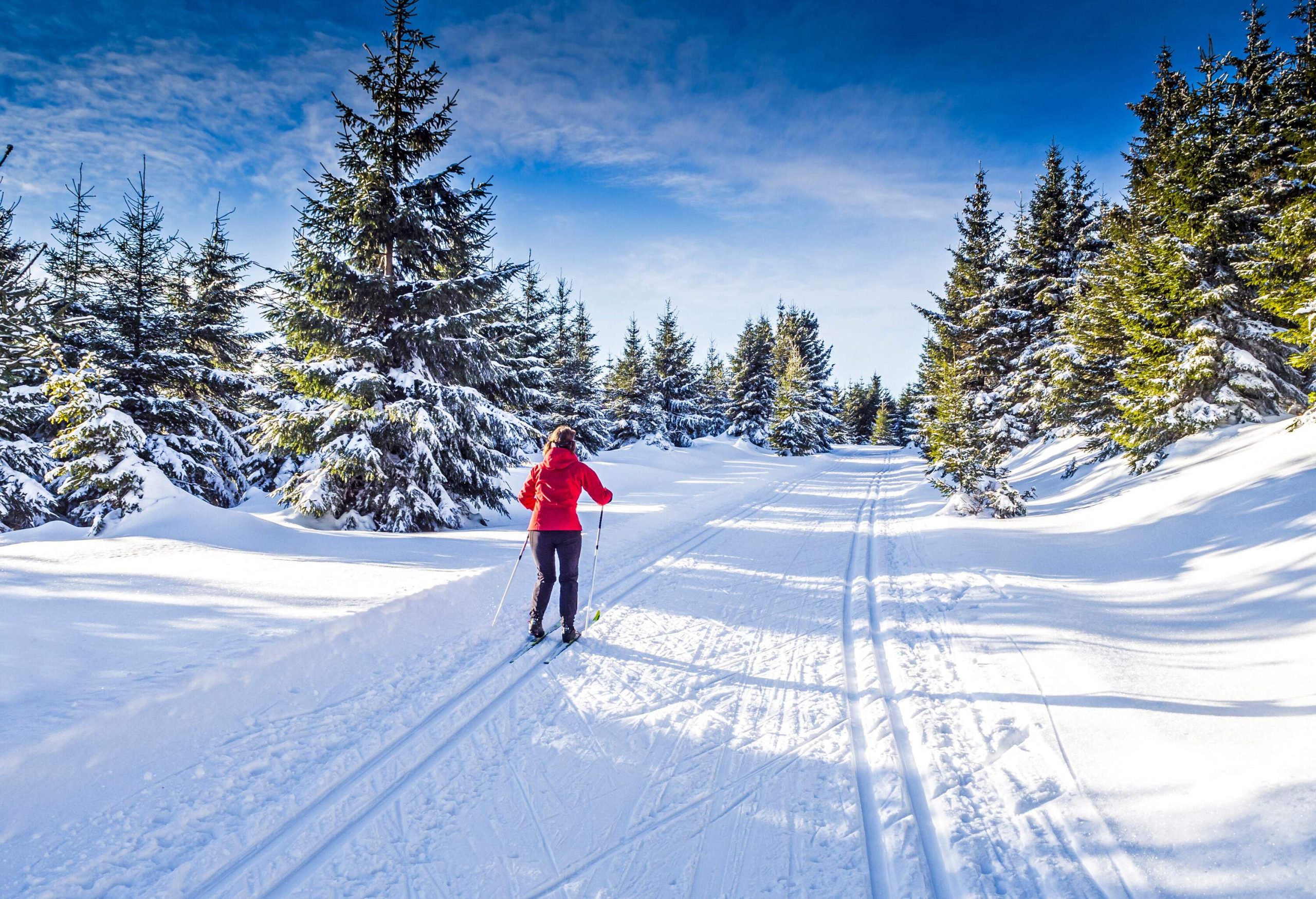 View of a snowy path amongst trees and skier