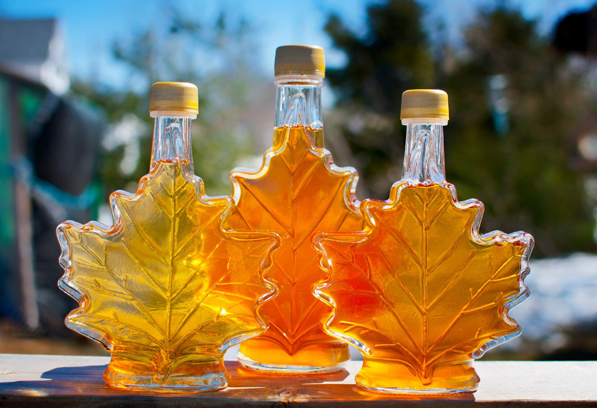 FOOD_CANADIAN_SYRUP_MAPLE