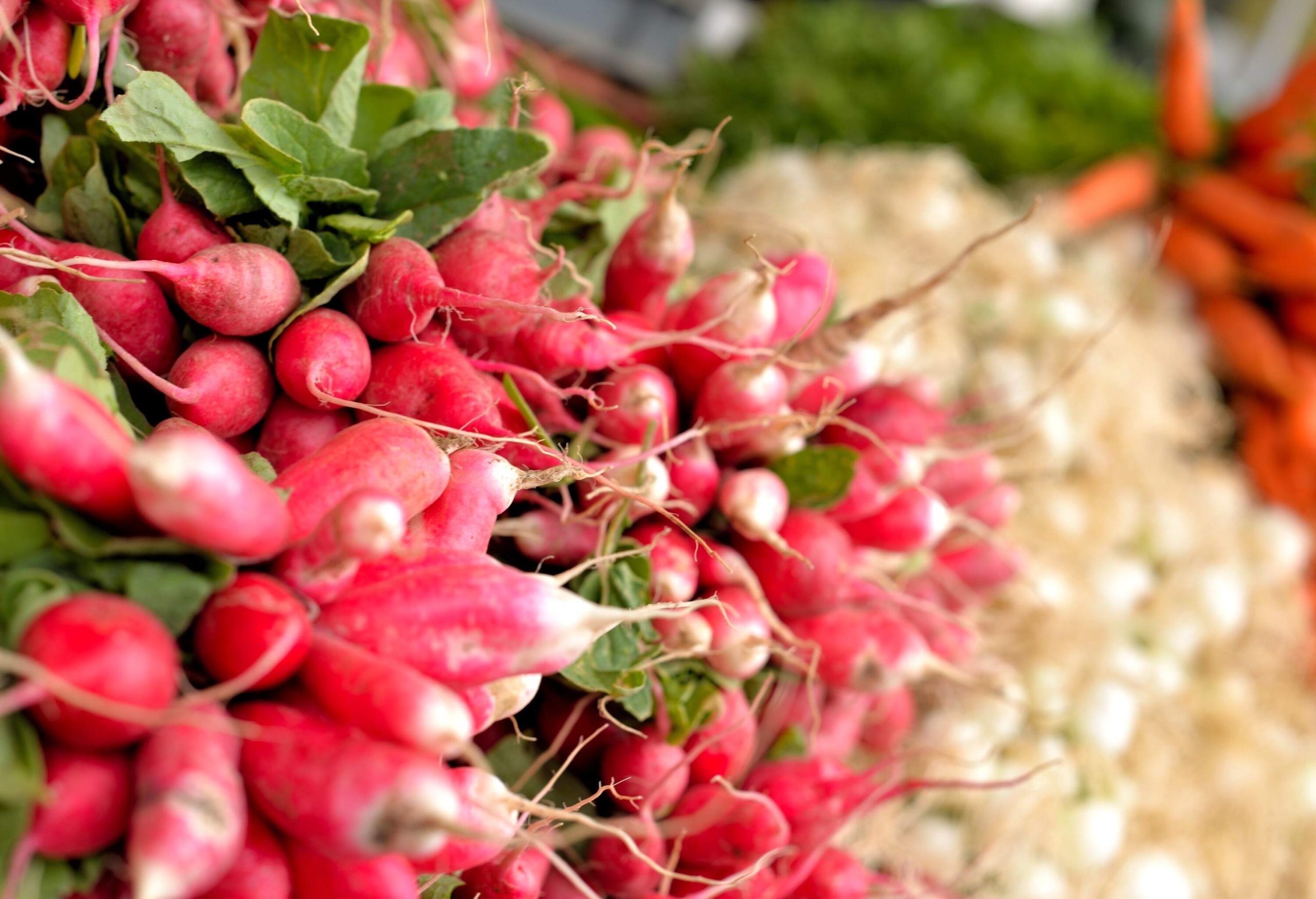 A bunch of pink radishes is displayed for sale in the market.