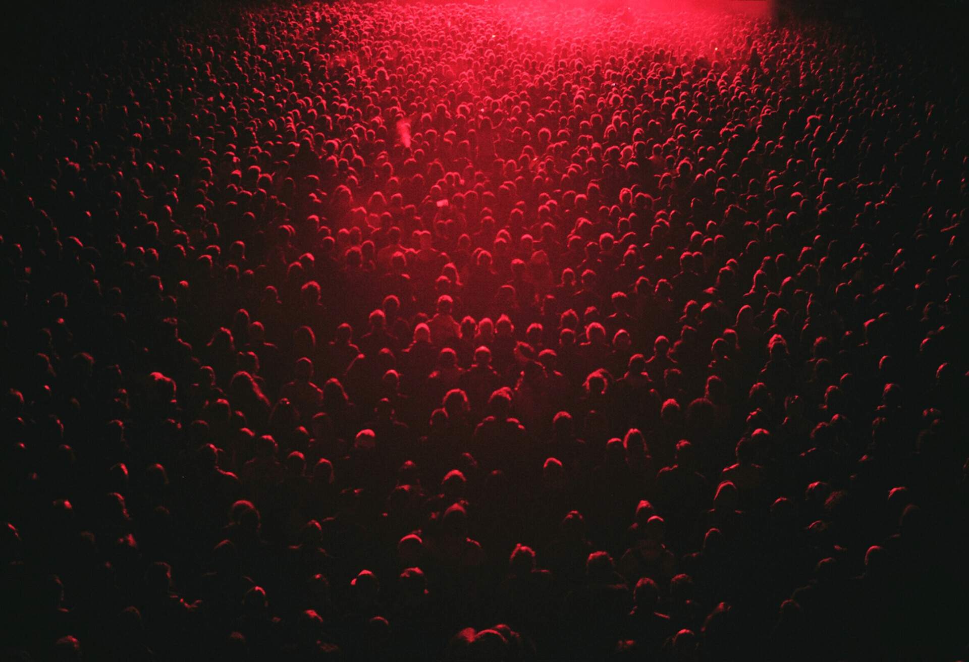 A large crowd watching a live performance lit with the red stage lighting. La Route Du Rock 2015.