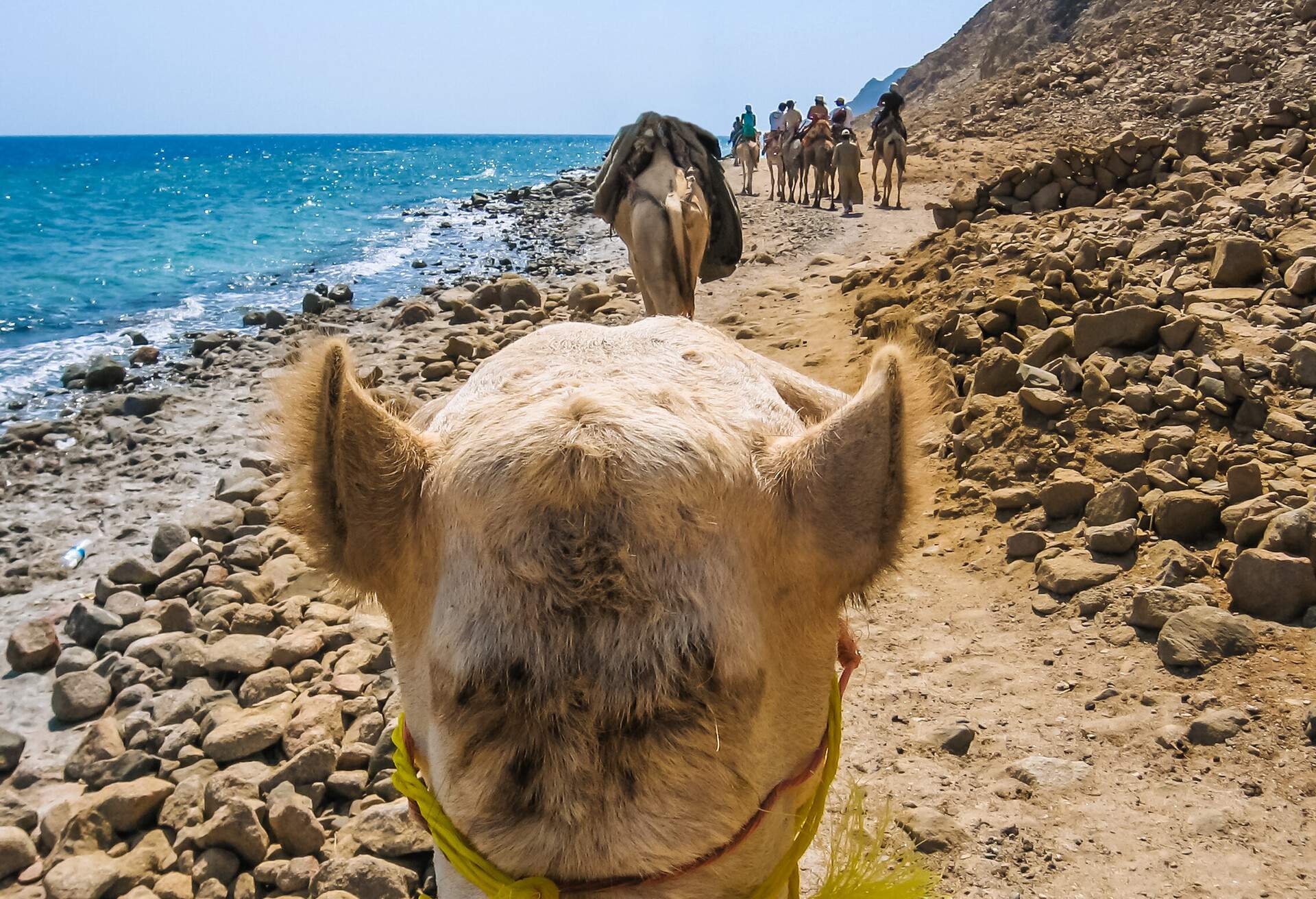 DEST_EGYPT_SHARM-EL-SHEIKH_BLUE-HOLE_GettyImages-504826678