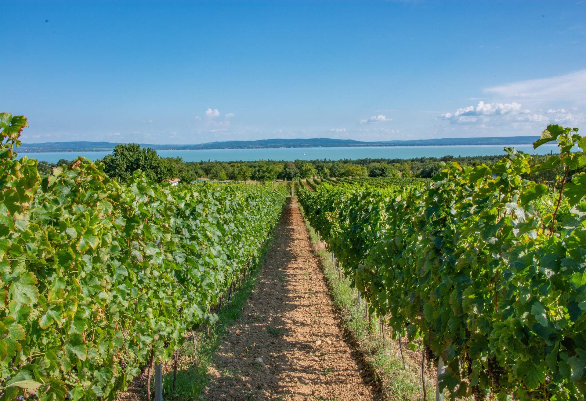 Photo taken in Balatonakali, Hungary