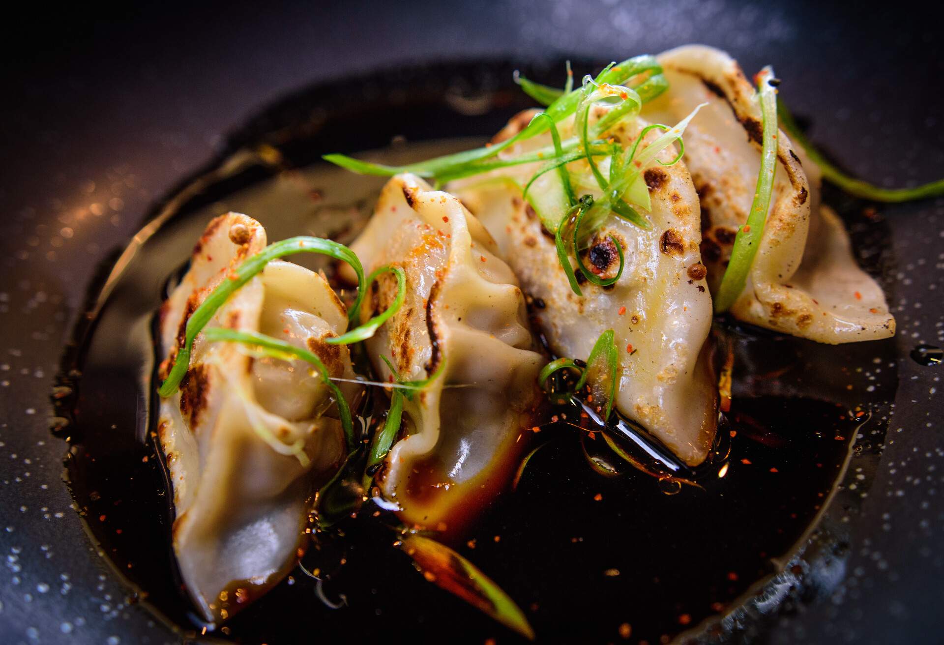 FOOD_GYOZA-DUMPLING