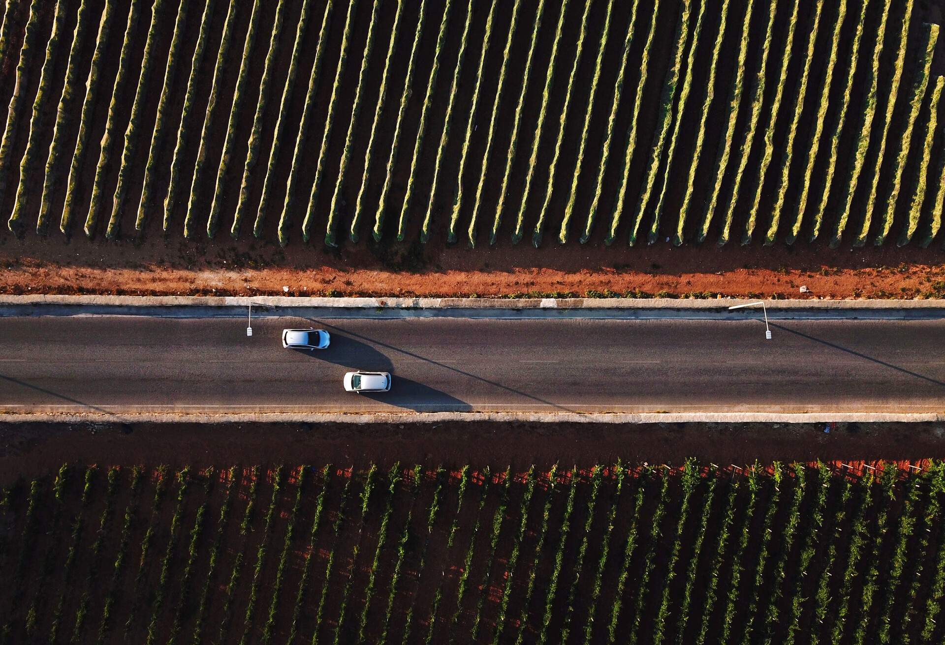 DEST_MALTA_THEME_VINEYARDS_CAR_AERIAL_GettyImages-1171109471