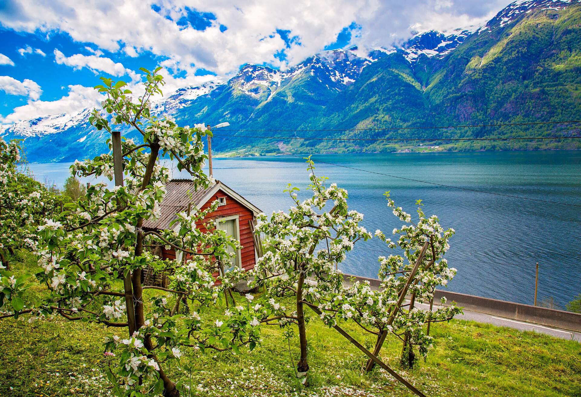 Hardanger fjord in late may, Norway