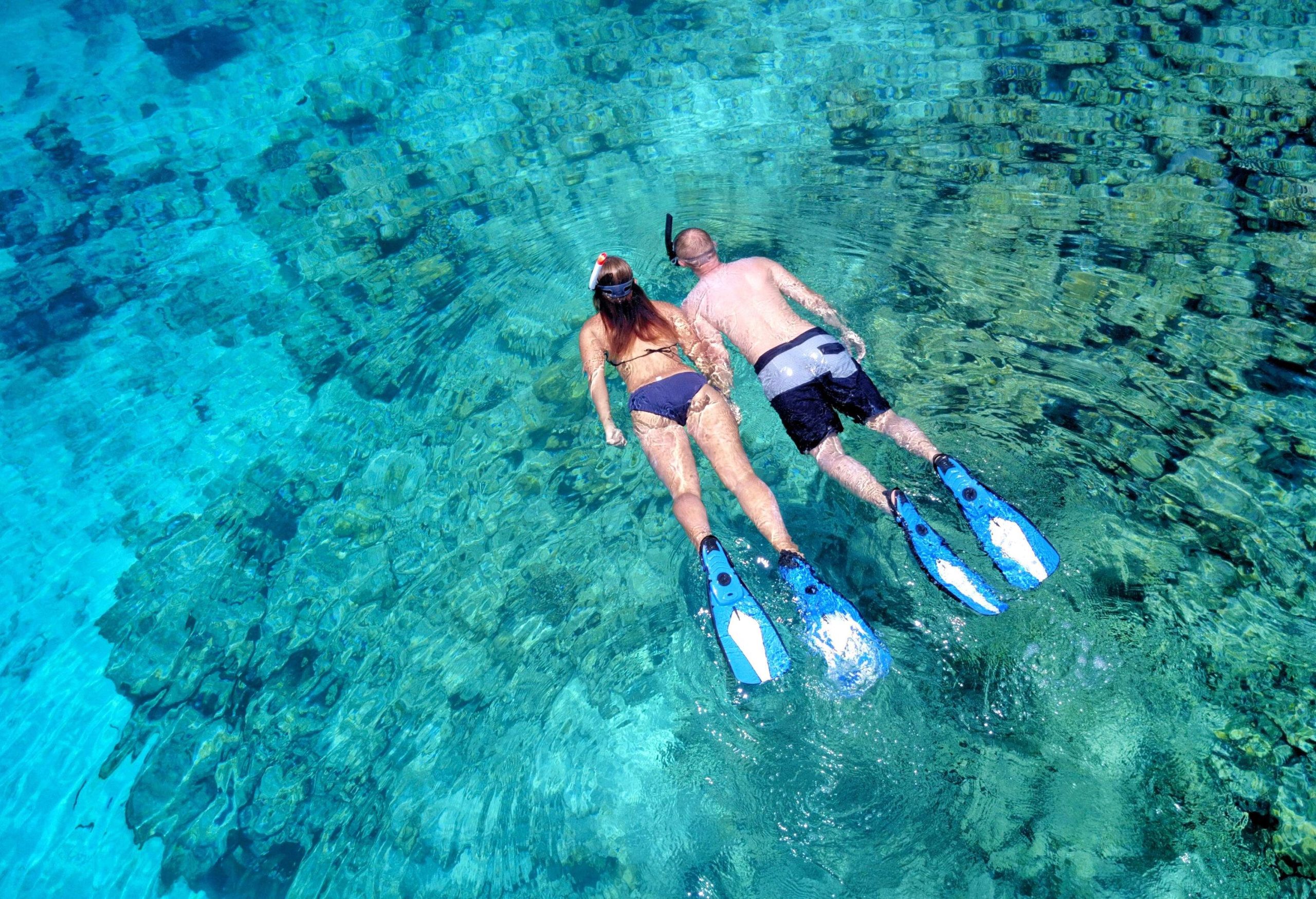 A couple in swim attire snorkels together across the clear ocean waters.