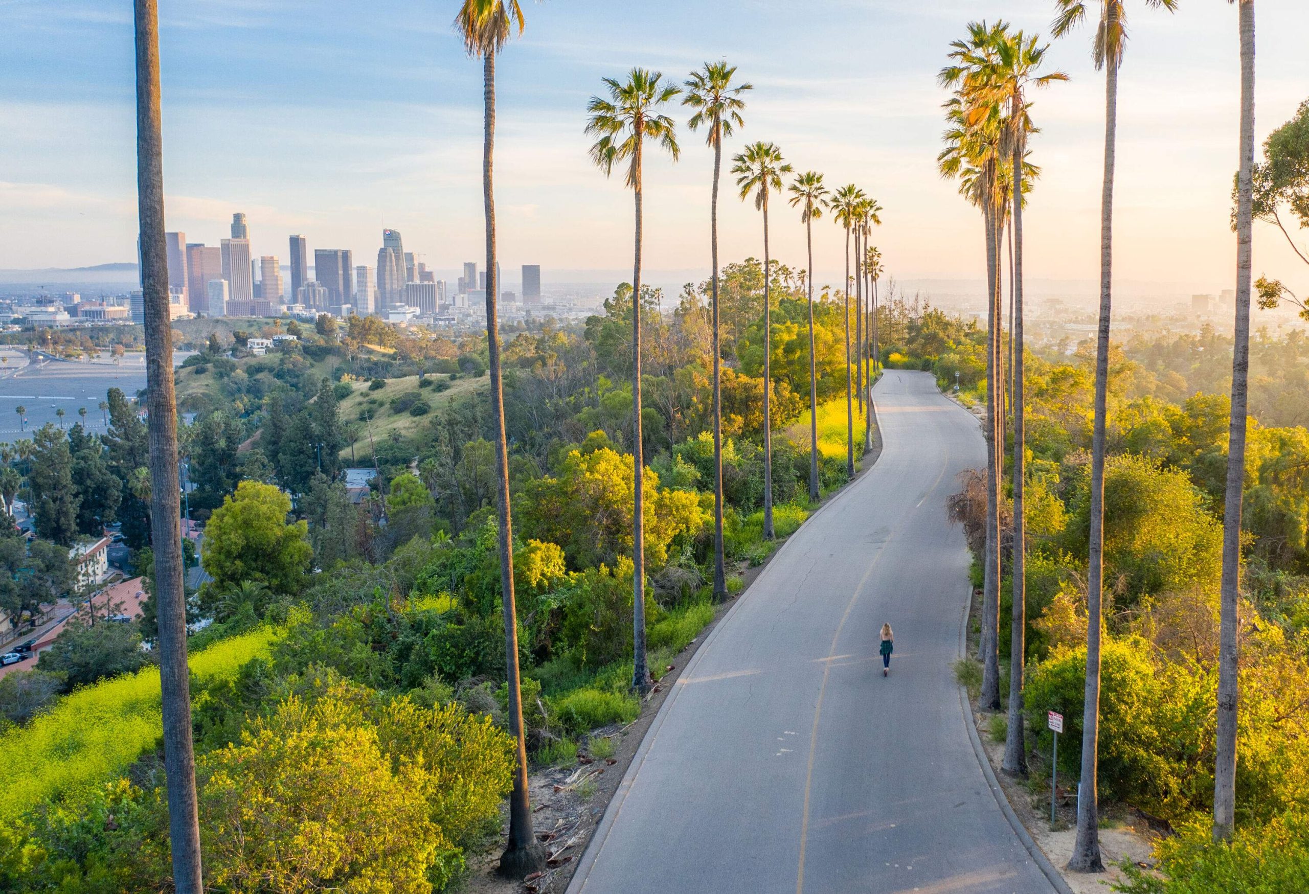 Aerial view of a paved road lined with green plants and tall trees with a view of modern skyscrapers in the background.