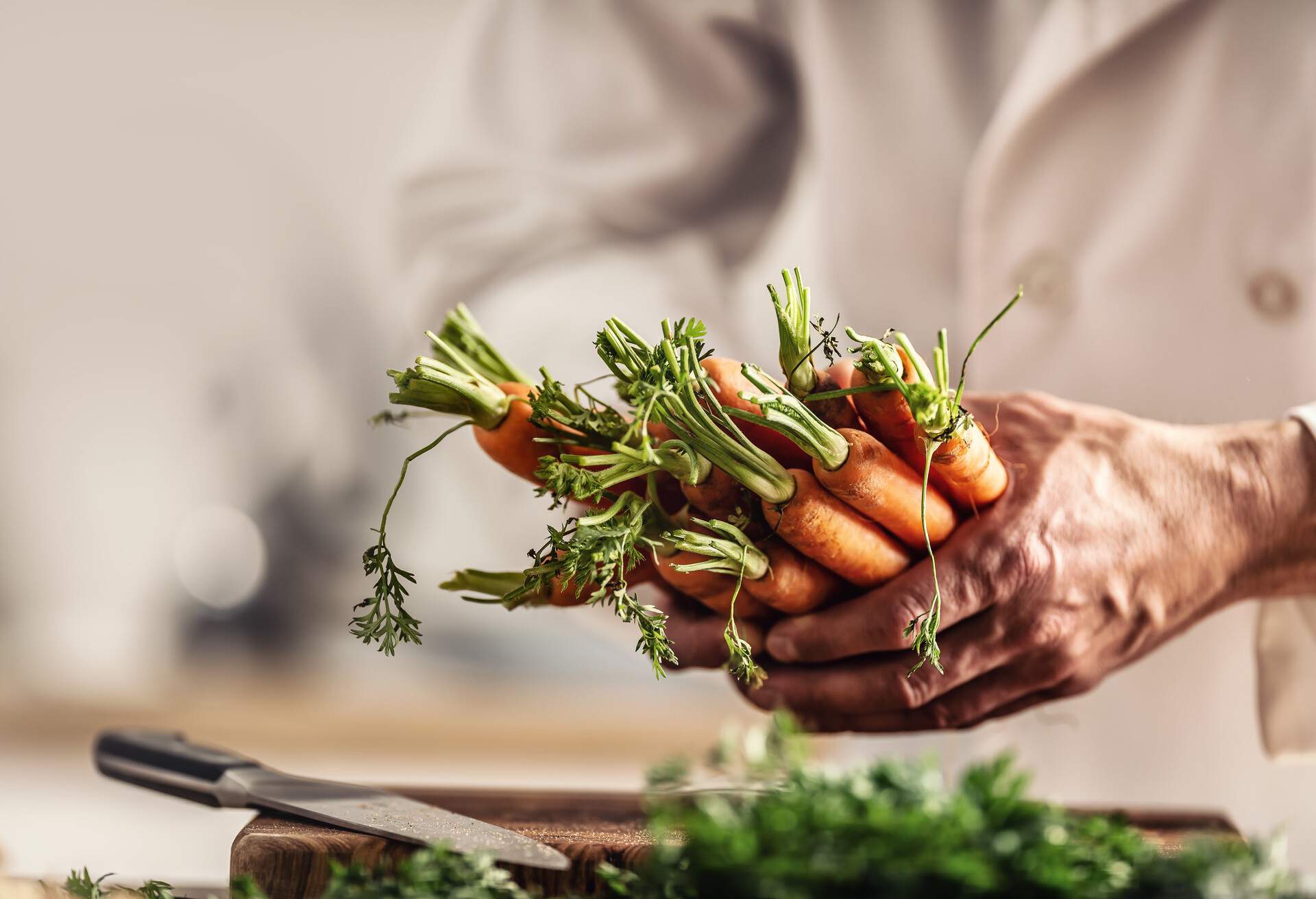 Hands holding a bundle of fresh carrots.