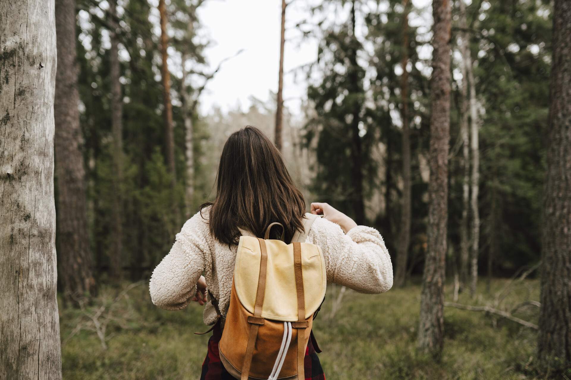 A woman with a backpack standing on a trail in the forest surrounded by tall trees.