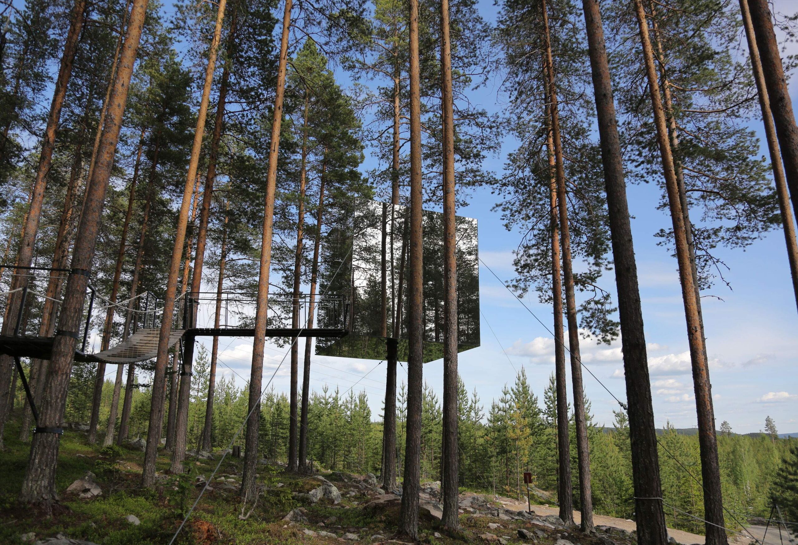 A modern box-shaped glass tree house in the middle of the woods surrounded by towering green trees.