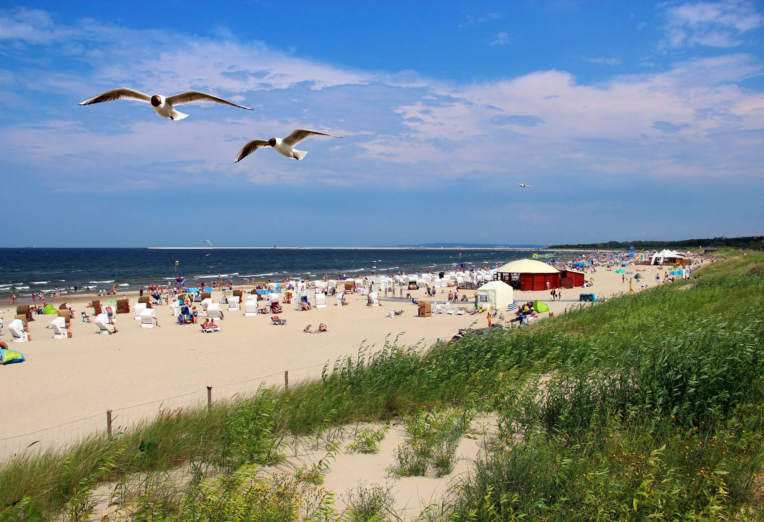 A sandy beach stretches out before the sparkling sea, as two birds glide gracefully overhead and beachgoers relax in comfortable chairs under a shady canopy.