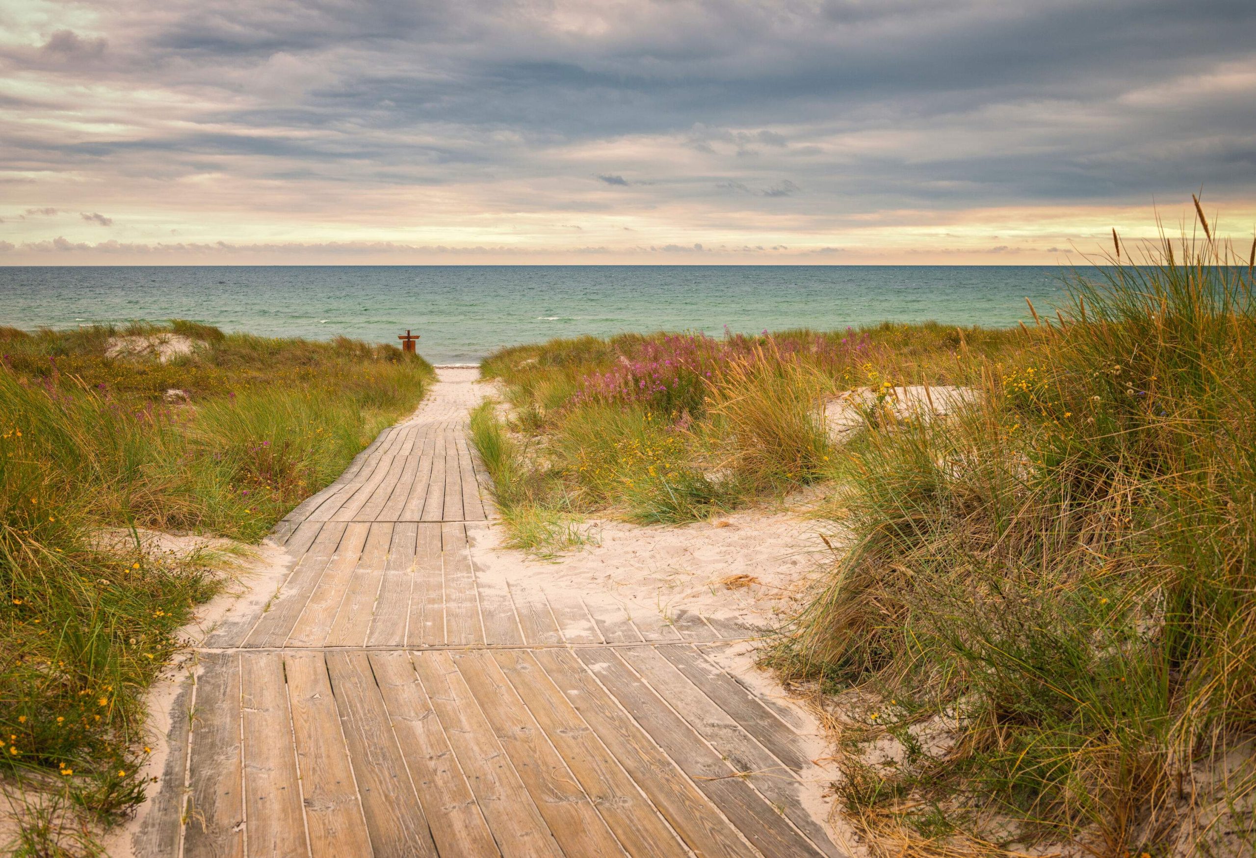 A wooden boardwalk in the middle of lush grass heading down a calm beach.