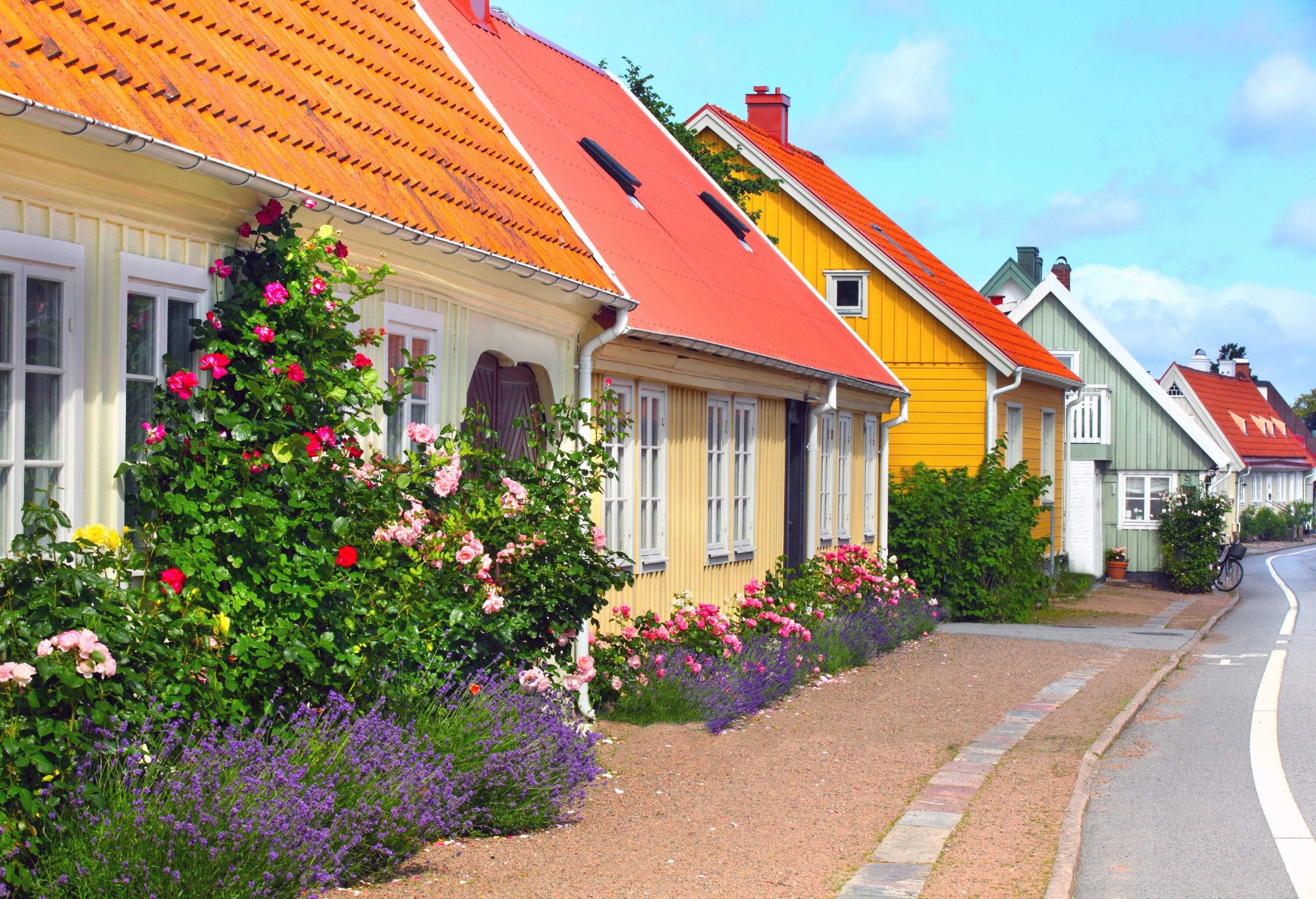 Traditional colourful houses with lush plants and flowers lined alongside an asphalt road.