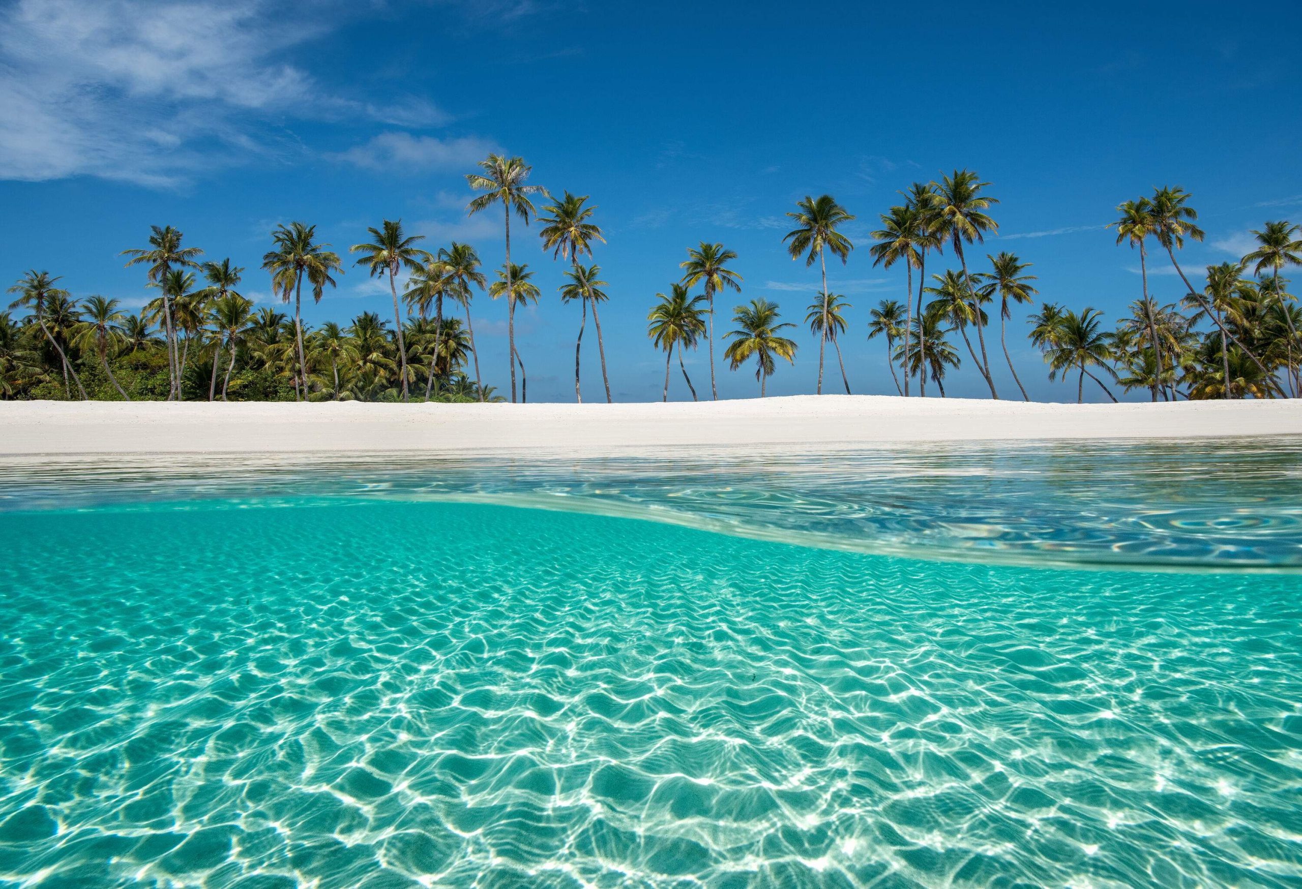 Glistening aquamarine waters embrace a stretch of pristine white sand, adorned with swaying palm trees.