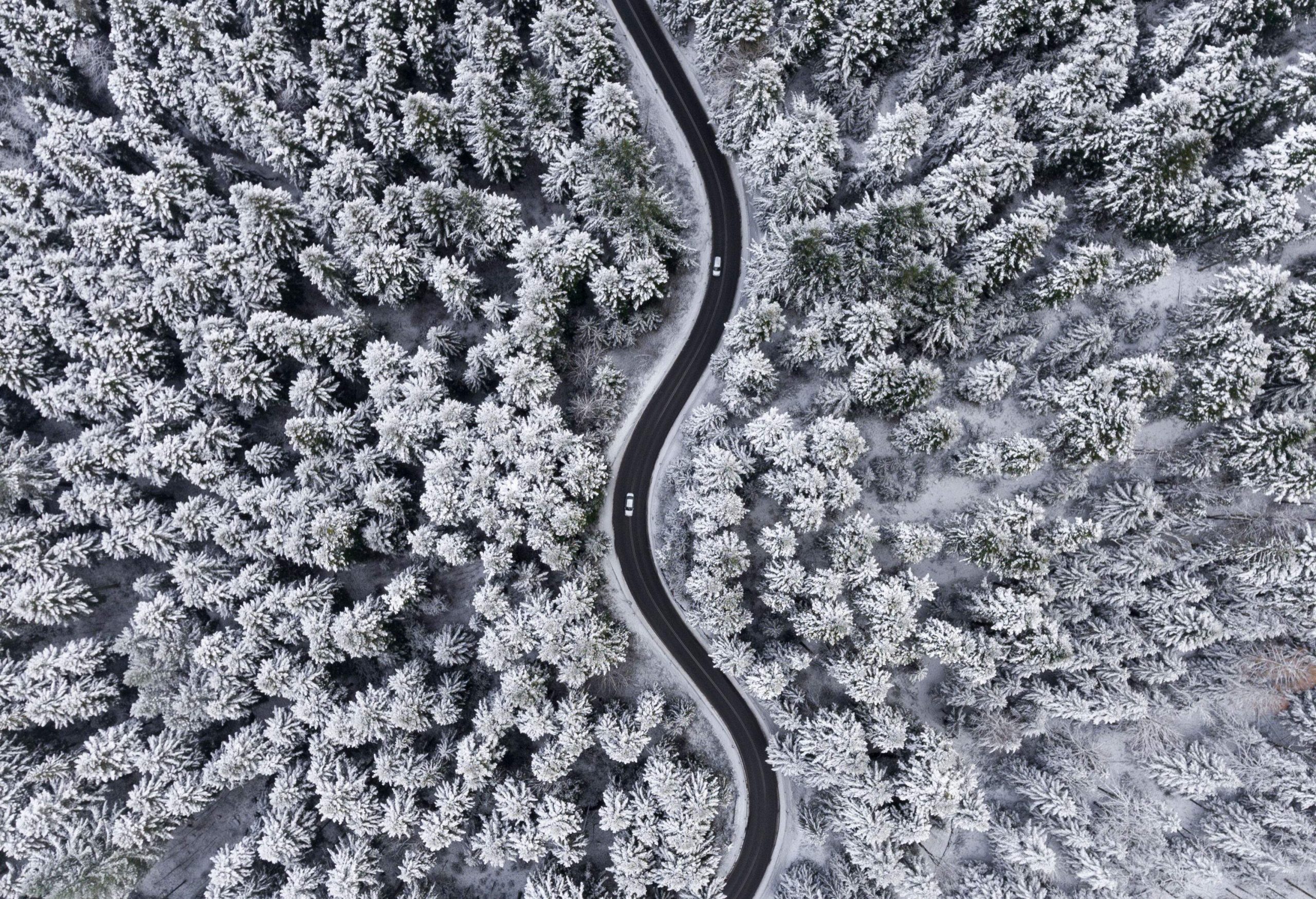 A winding road leads through a picturesque forest, blanketed in a fresh layer of snow.