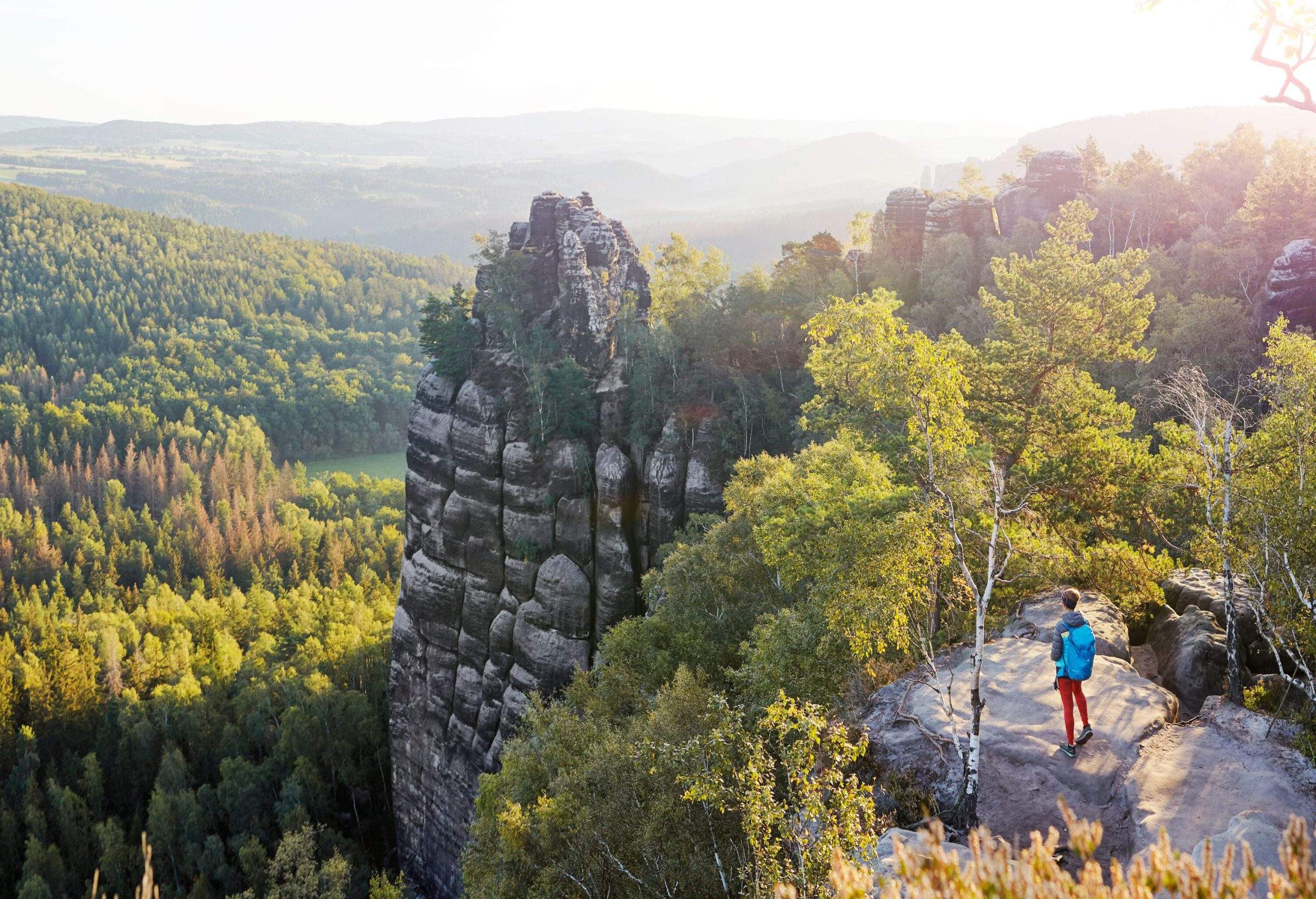 A hiker standing on a mesa surrounded by jagged rock formations rising above tall trees.