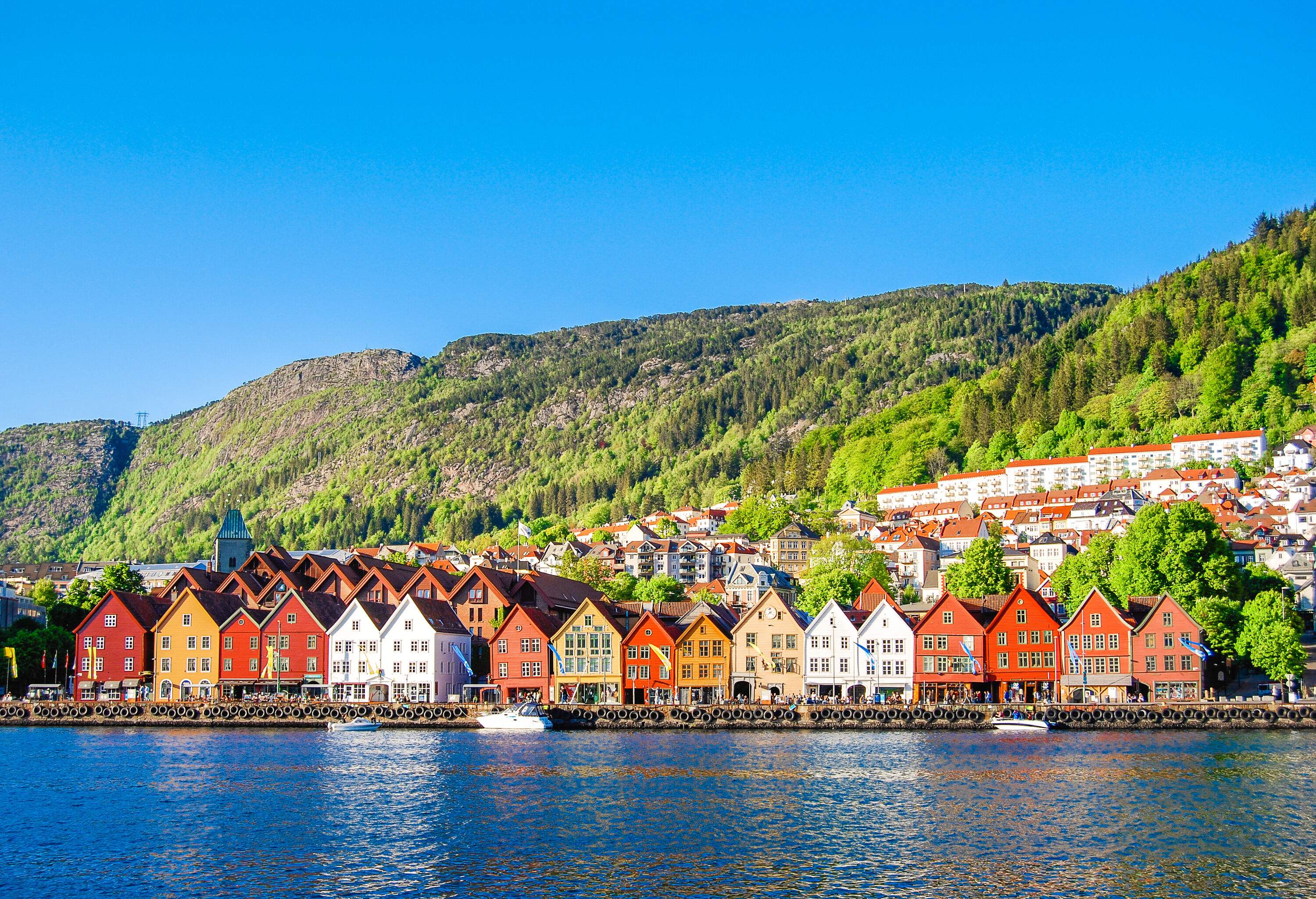 Colourful houses lined per row, sloping on the shore at the side of lush mountains.