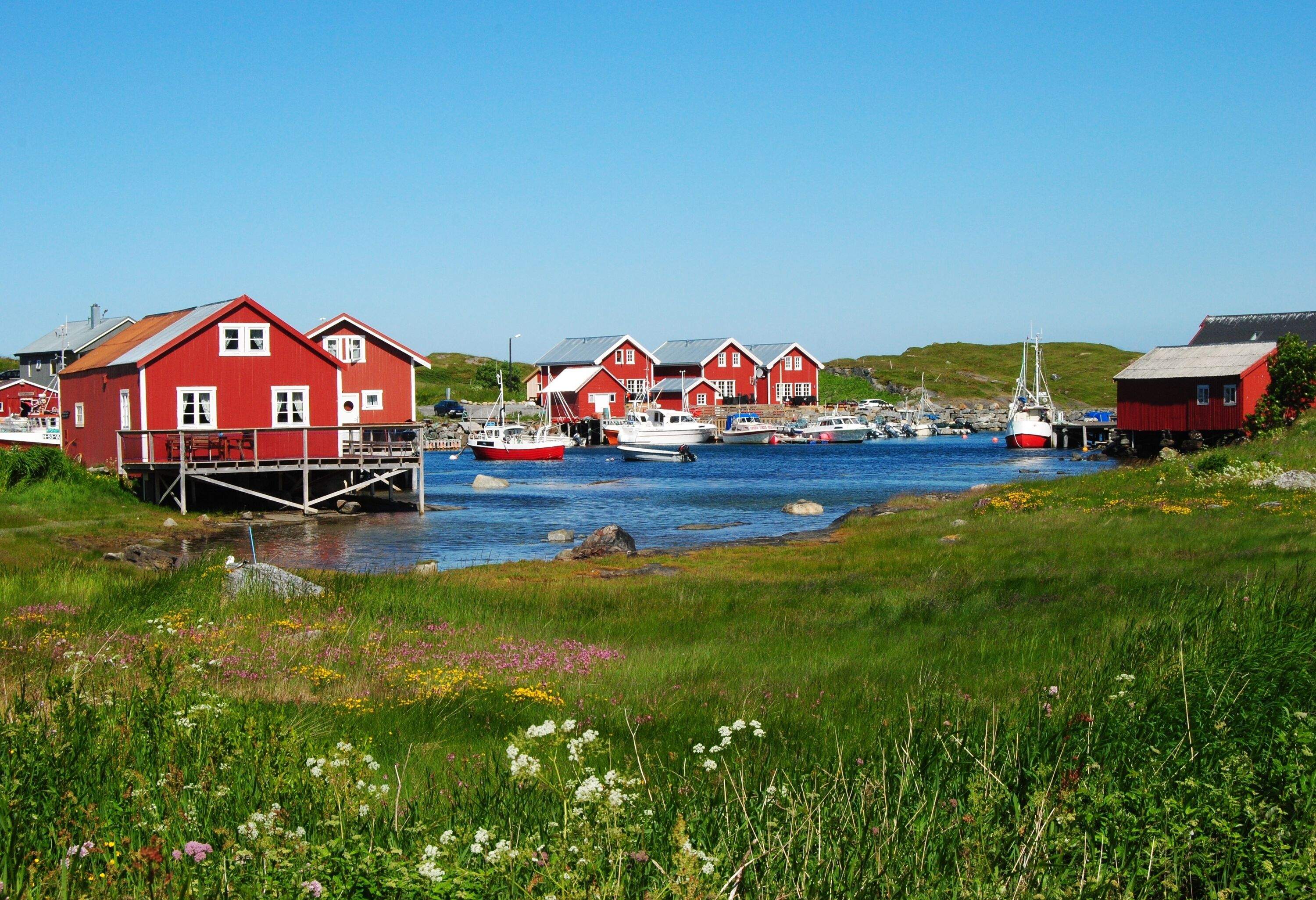 A harbour with anchored sailboats surrounded by red houses on stilts as seen from a grass field with colourful flowers.