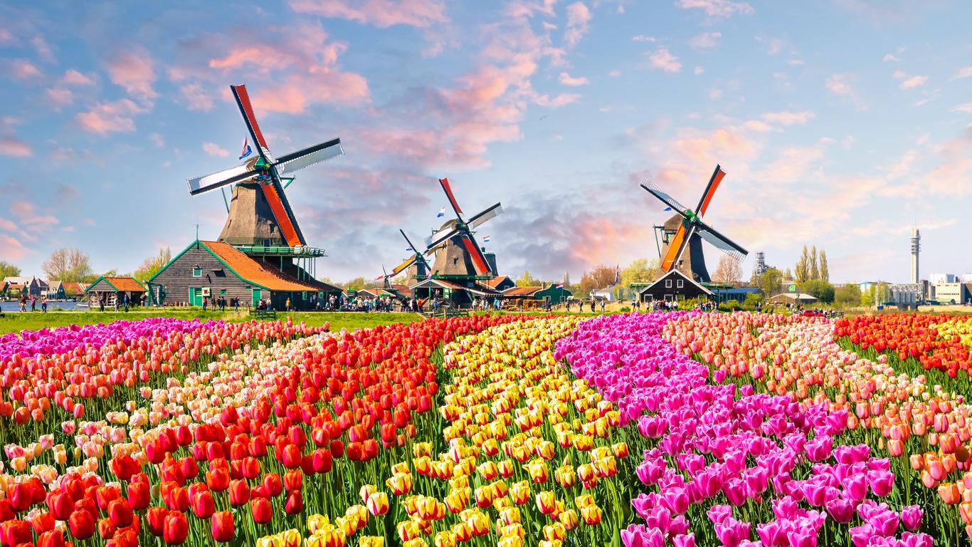 Flights to Noord-Holland