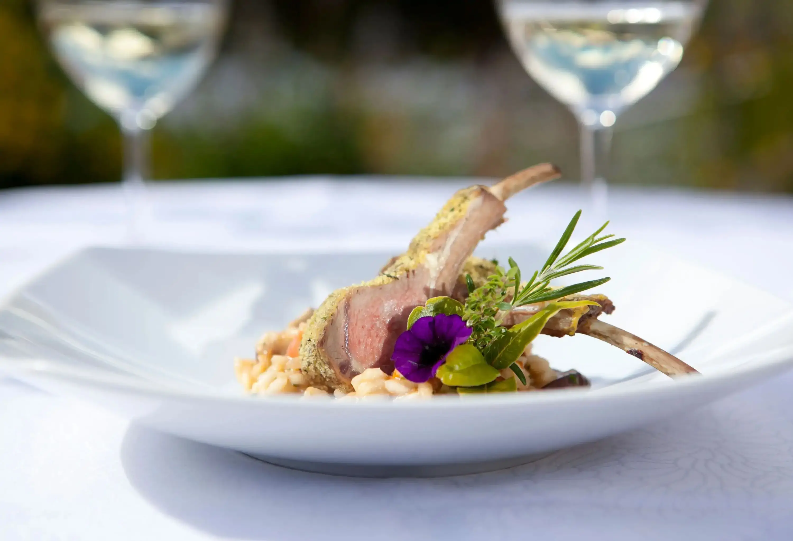Bone-in lamb chops garnished with a purple flower and herbs.