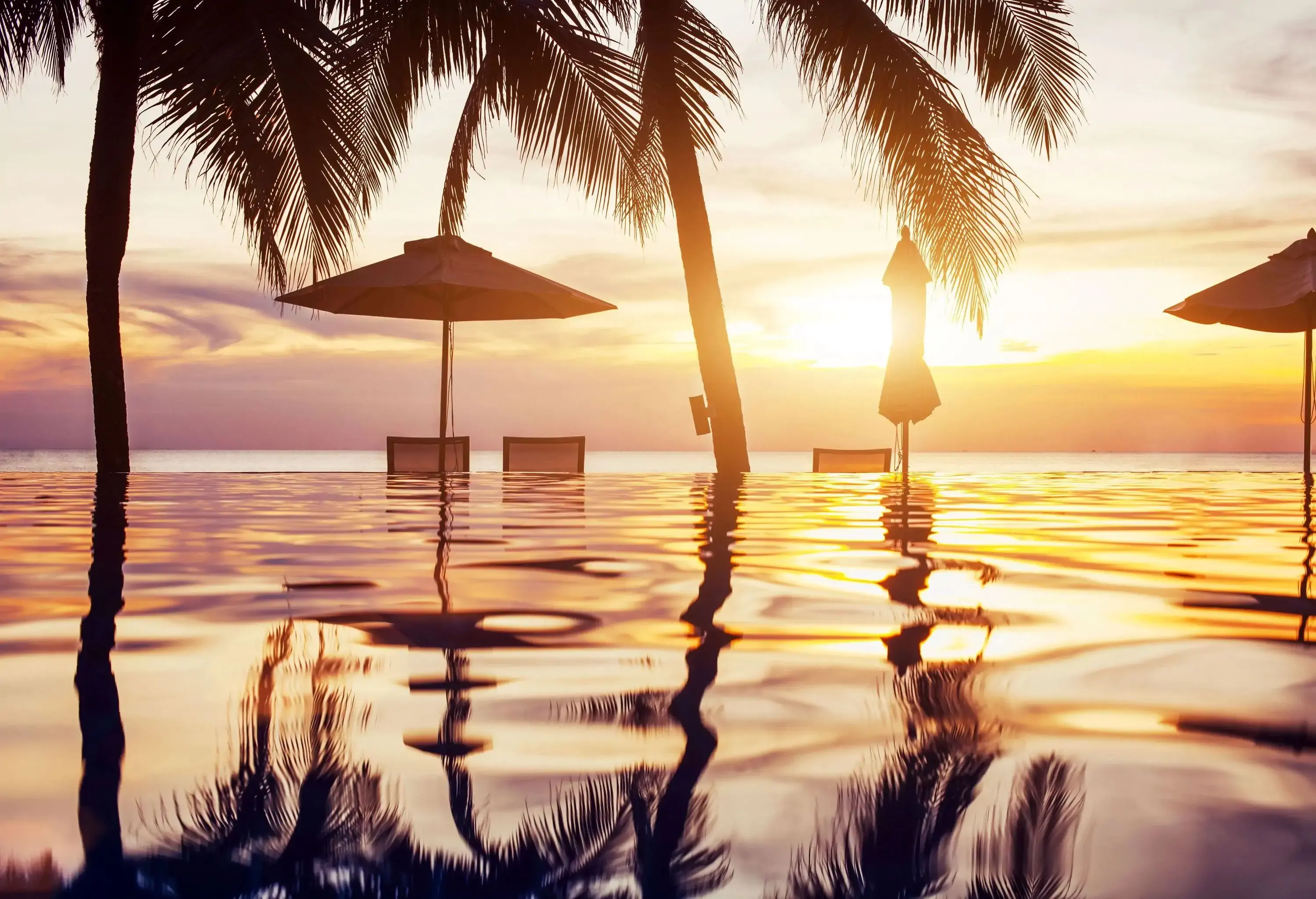 A swimming pool's surface reflects the palm trees, umbrellas, and the setting sun.